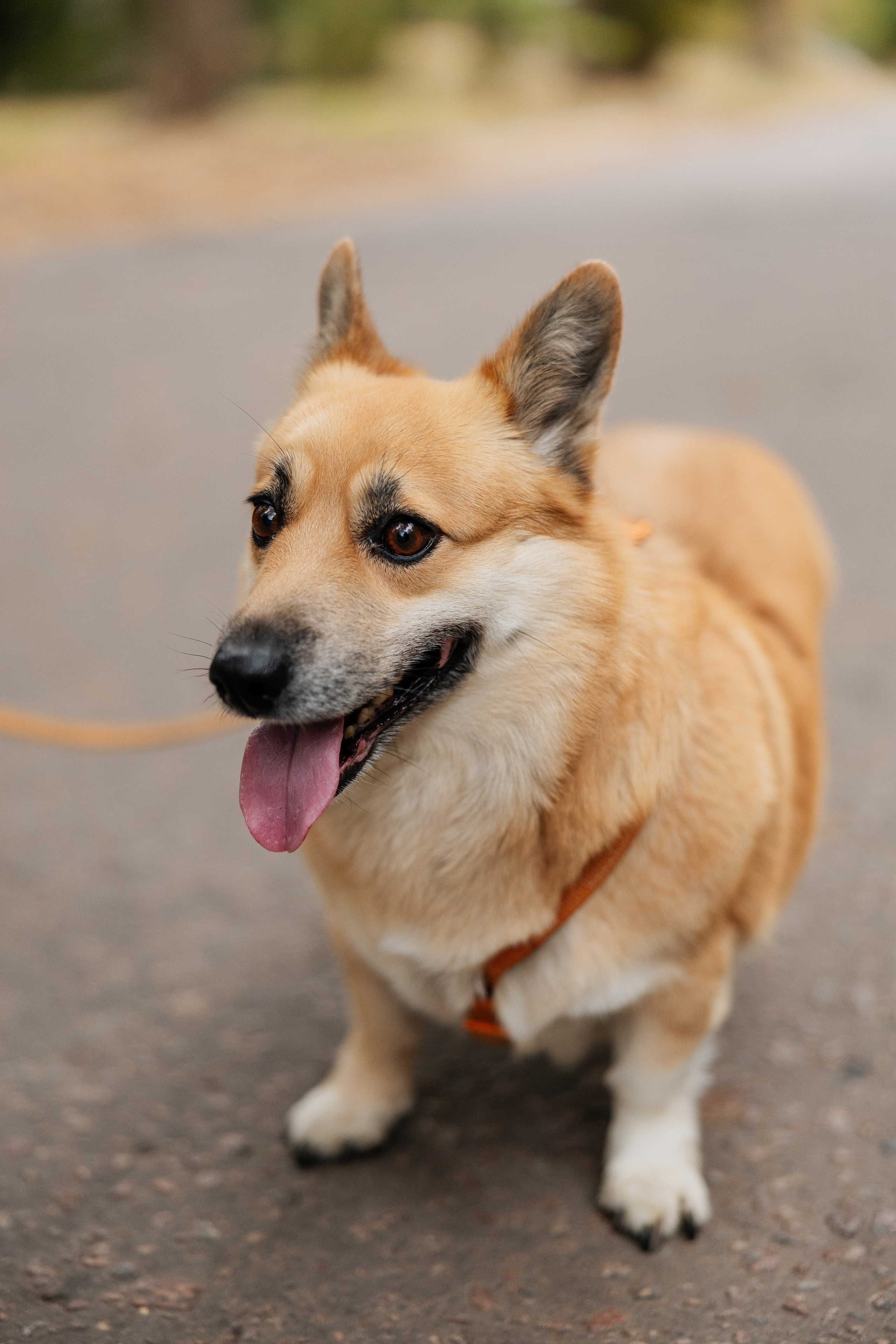 Антон и Настя. Свадебный и репортажный фотограф в Воронеже Сергей Максимов