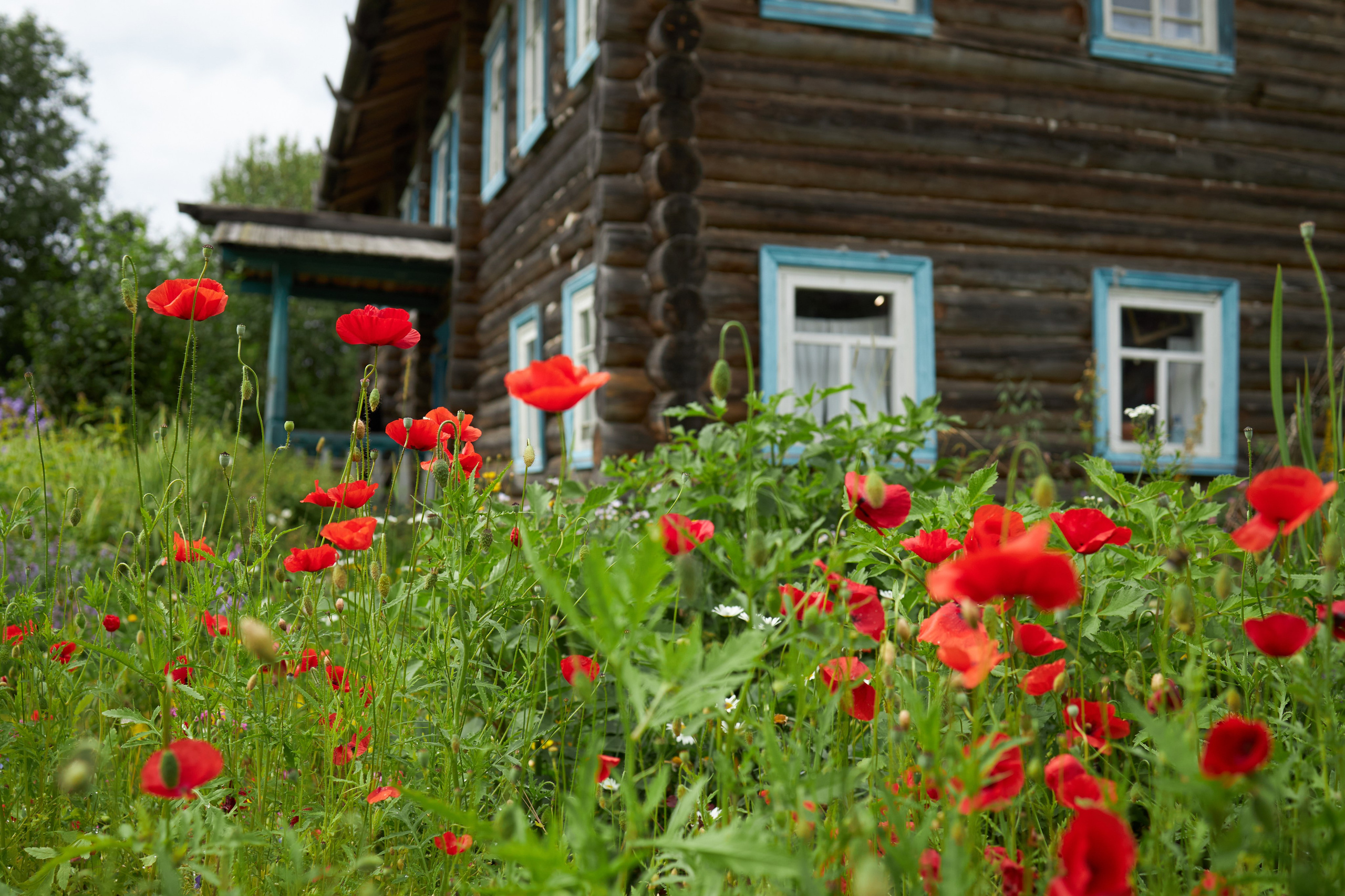 Пейзажи. Свадебный и репортажный фотограф в Воронеже Сергей Максимов