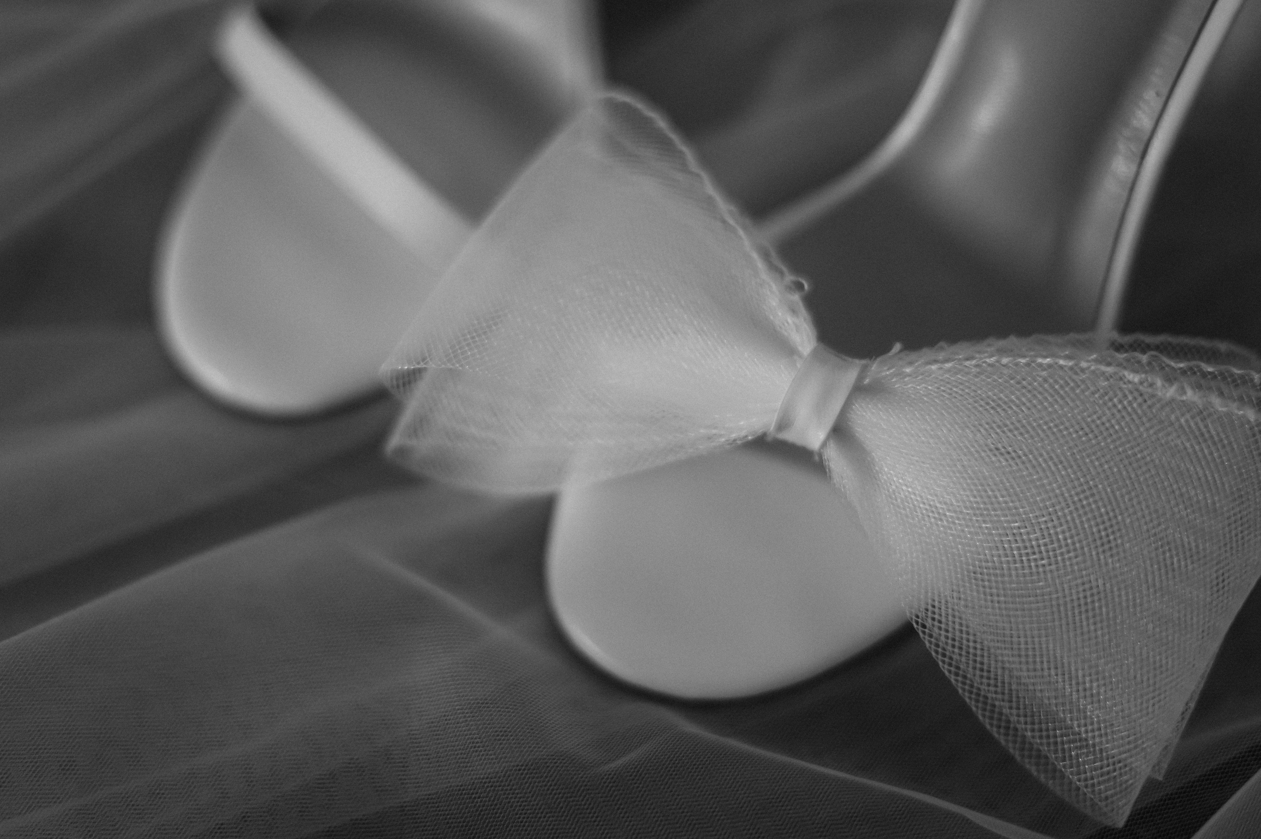 Женя + Полина — Оргаизация Грани. Свадебный и семейный фотограф Волгоград Москва