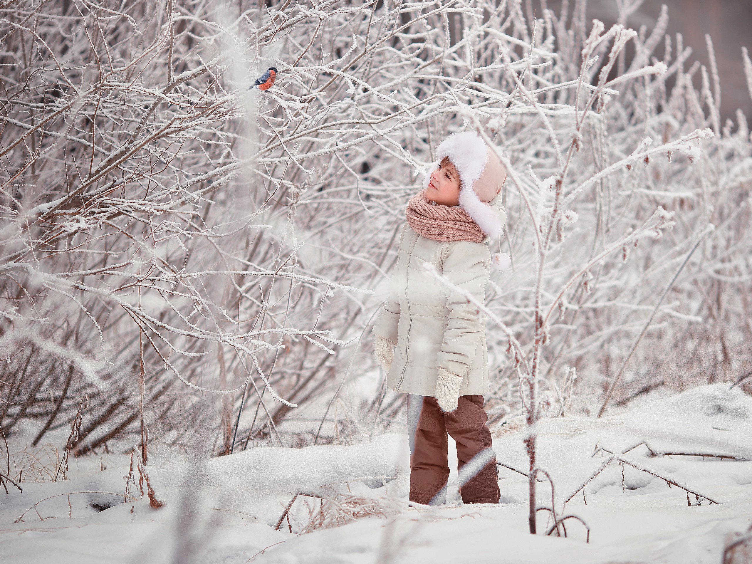 Детская фотосъемка. Ольга Котова