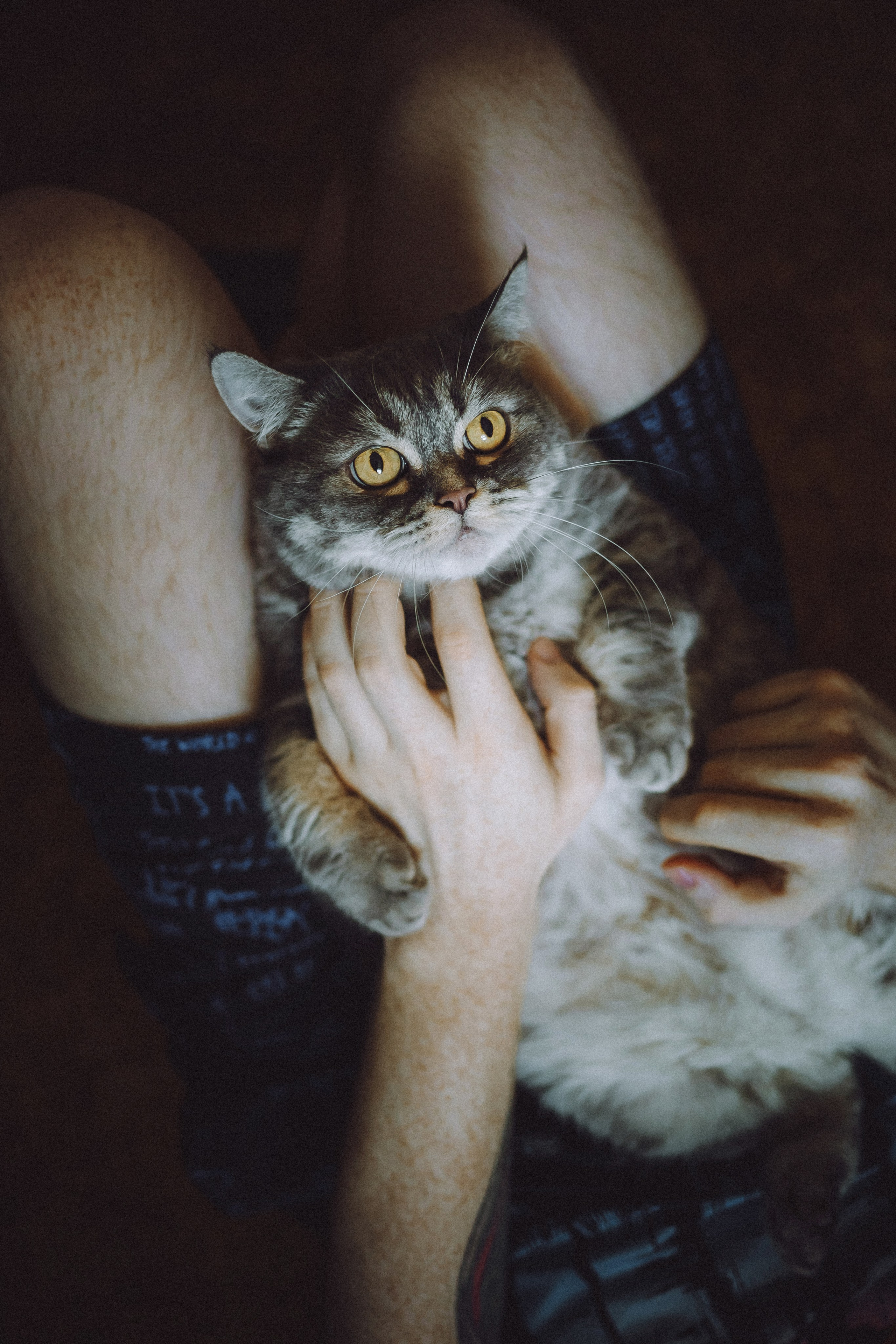 Яся и ее семья