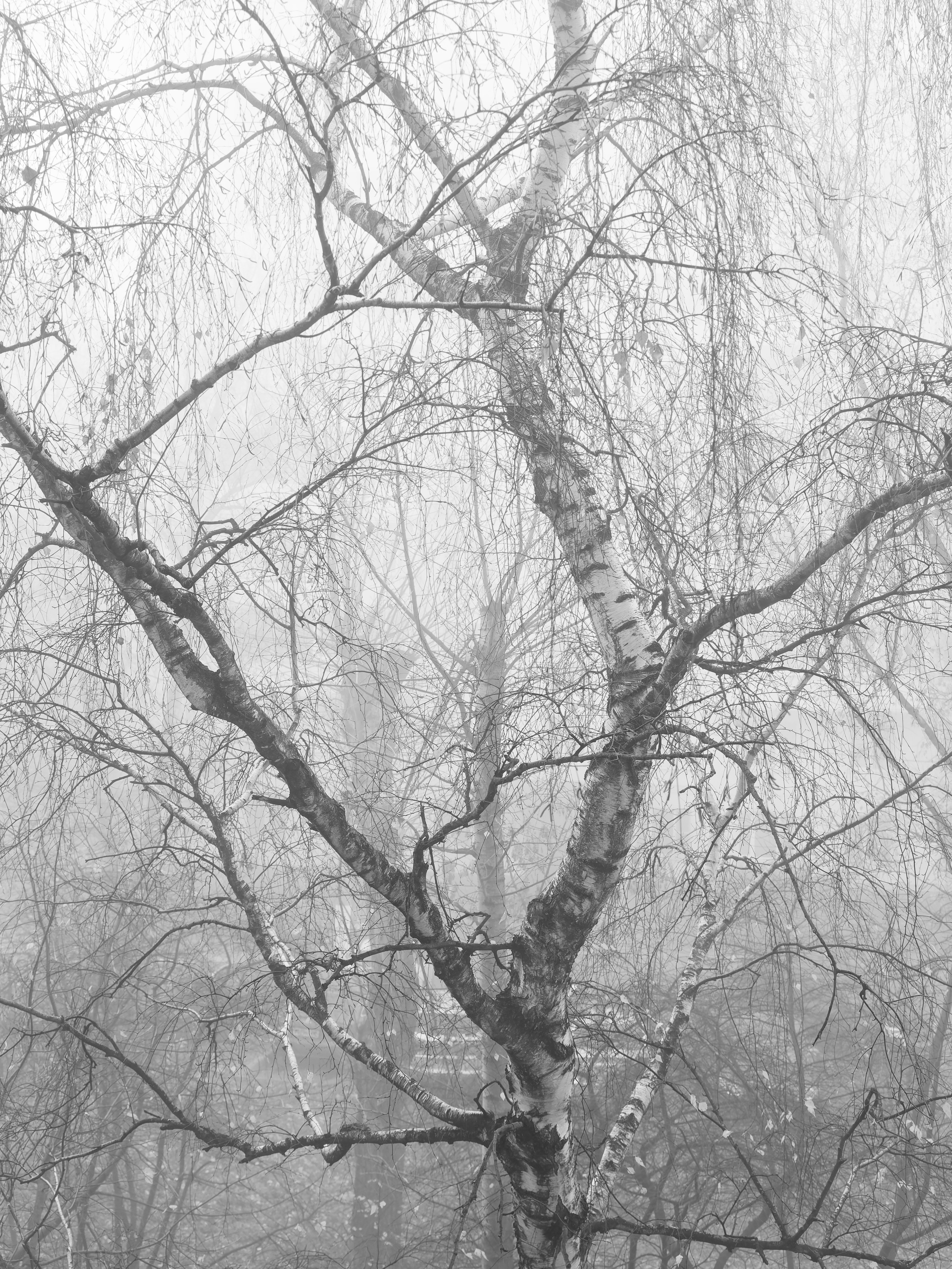 Улица и пейзаж. Oles Paritskiy