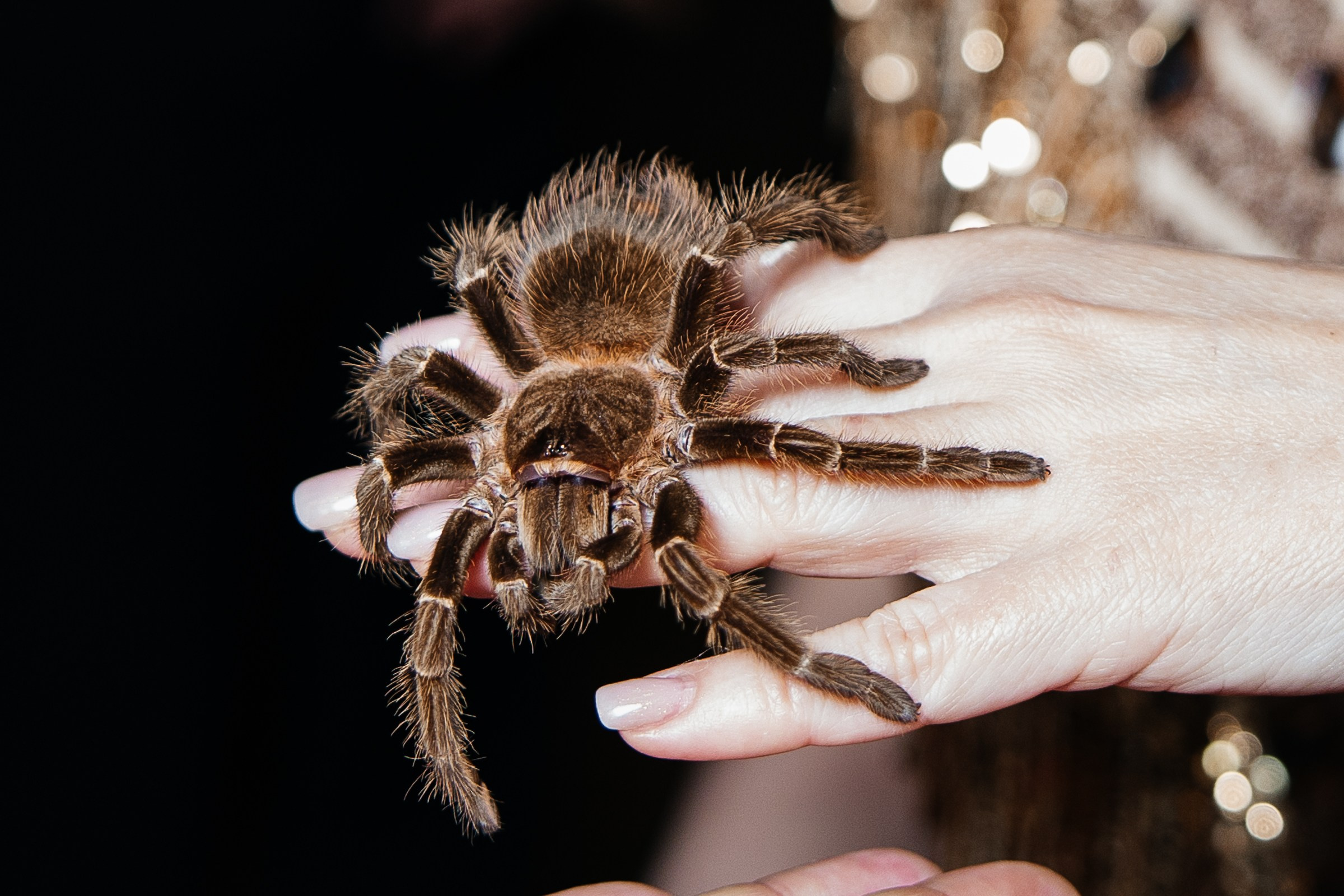 Денису 35 лет. Репортажный и свадебный фотограф Катерина Потапова