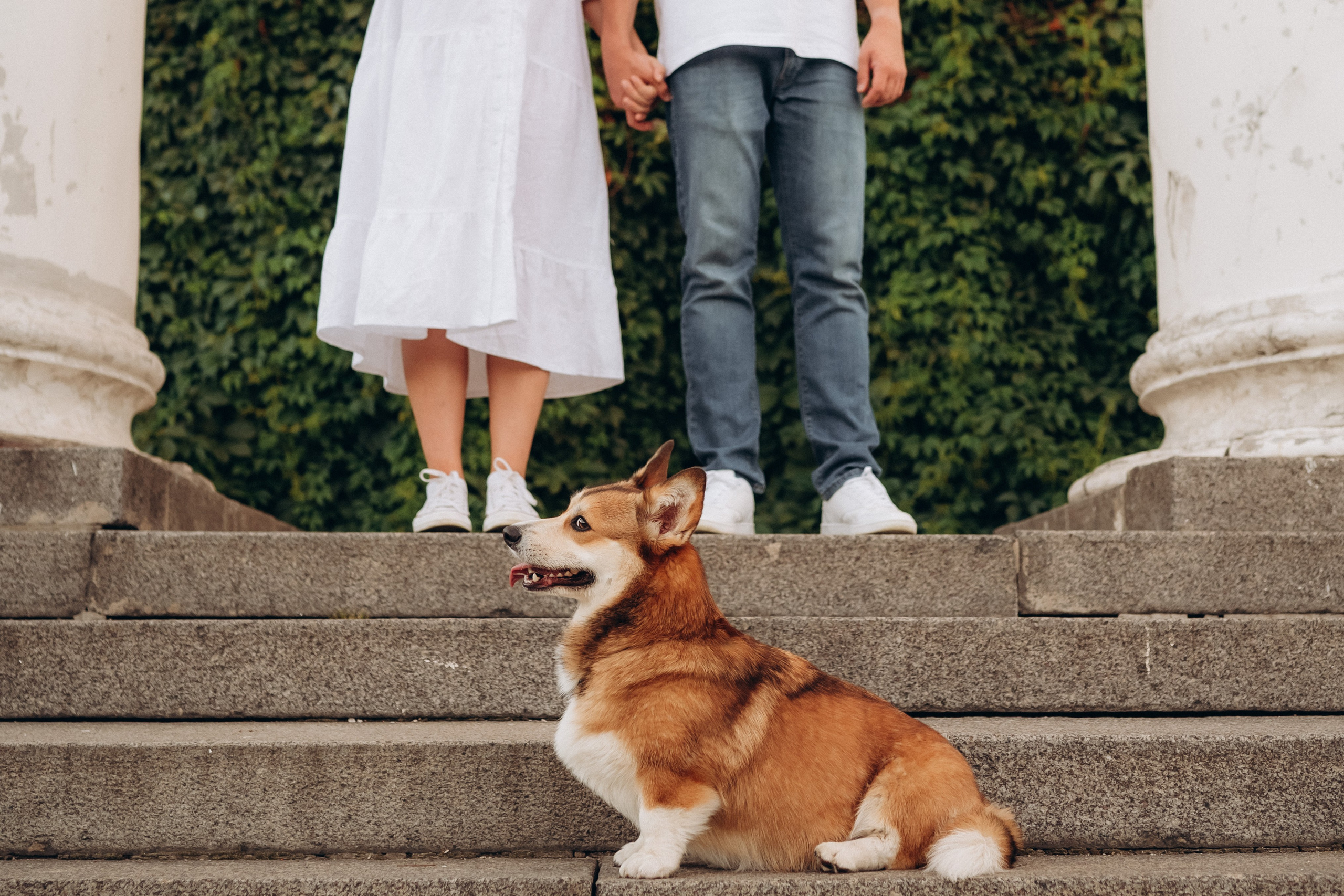 Прогулка в Ботаническом саду. Кристина Ветрова | ФОТОГРАФ | Москва