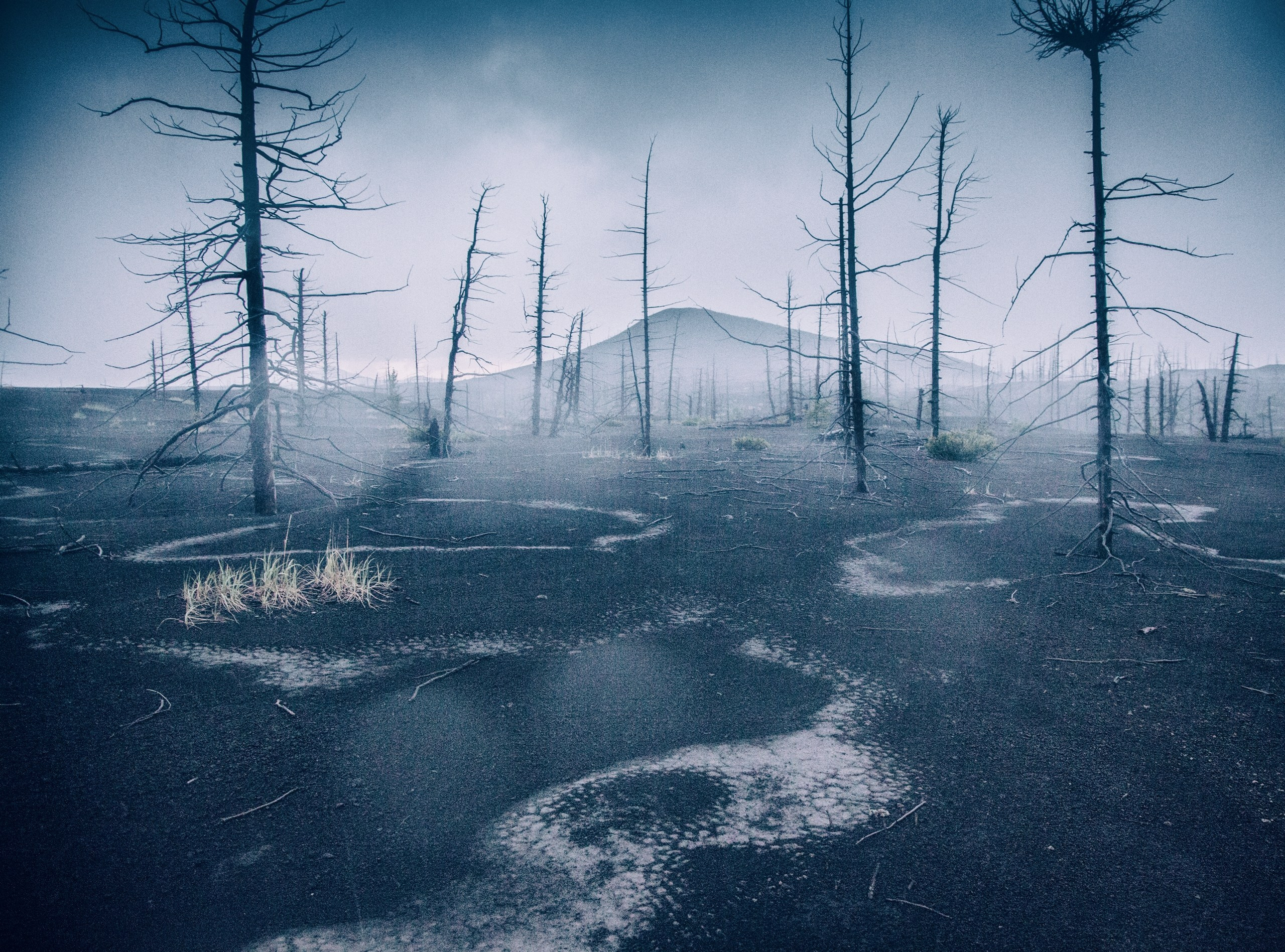 Камчатка. Фотограф Владимир Медведев