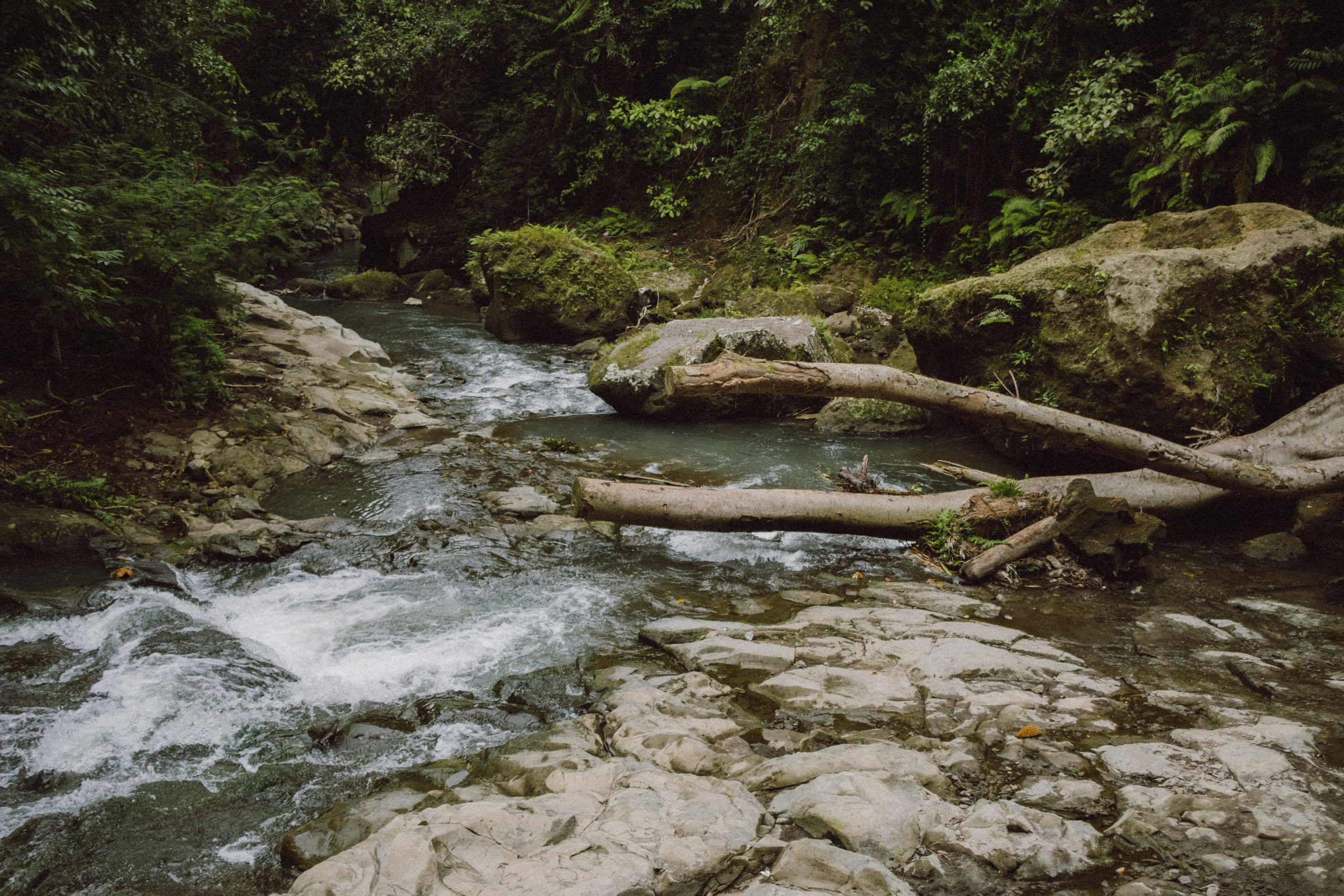 Briana and Tom. Фотограф Бали