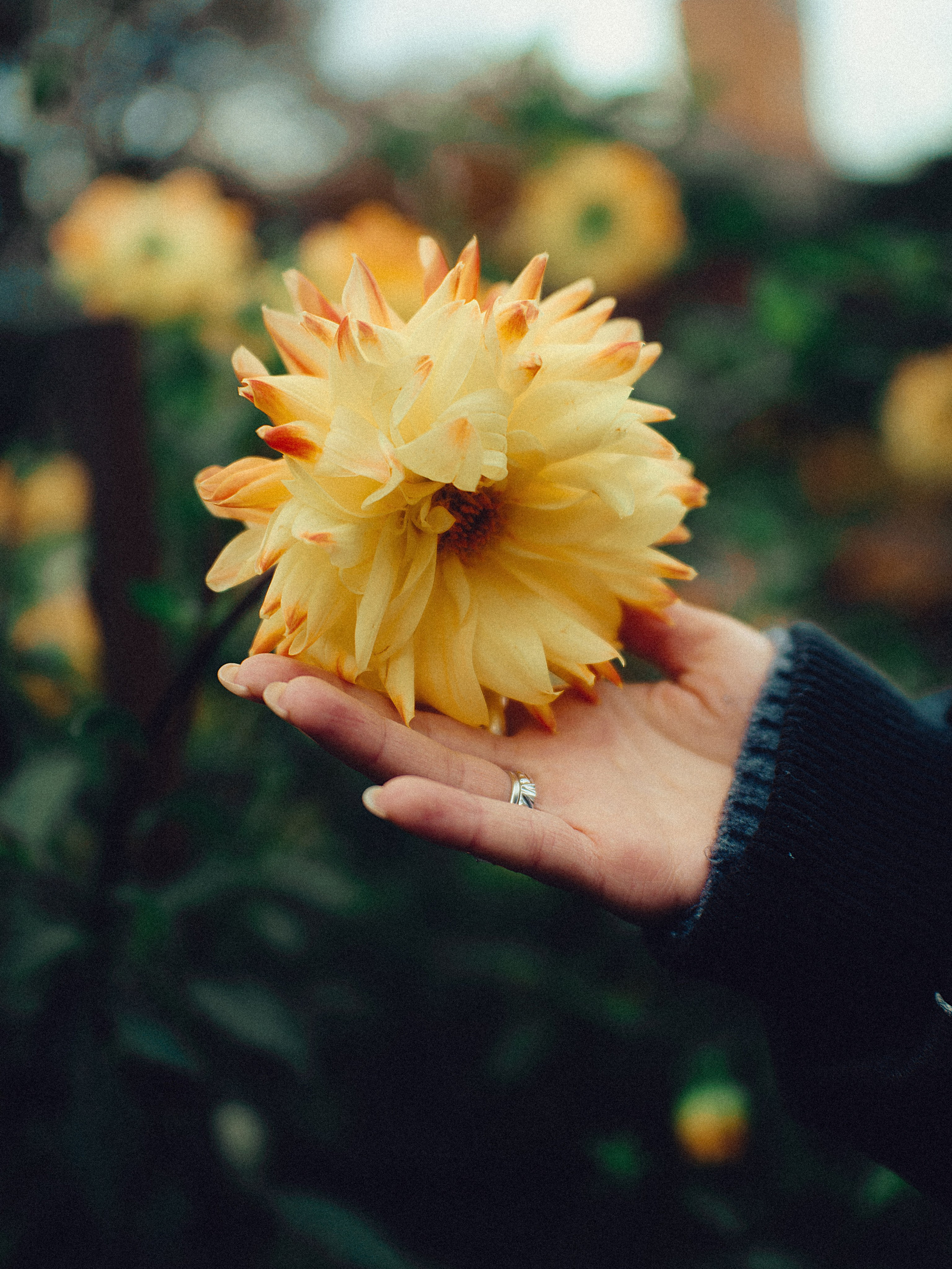 Botanical. Портретный и свадебный фотограф в Москве и Санкт-Петербурге. Учитель фотографии онлайн и оффлайн