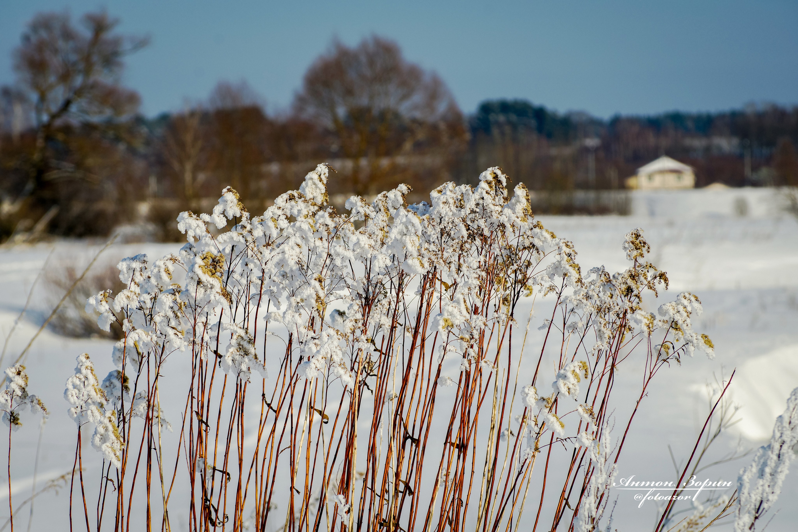 Конная охота. Семейный и детский фотограф Антон Зорин