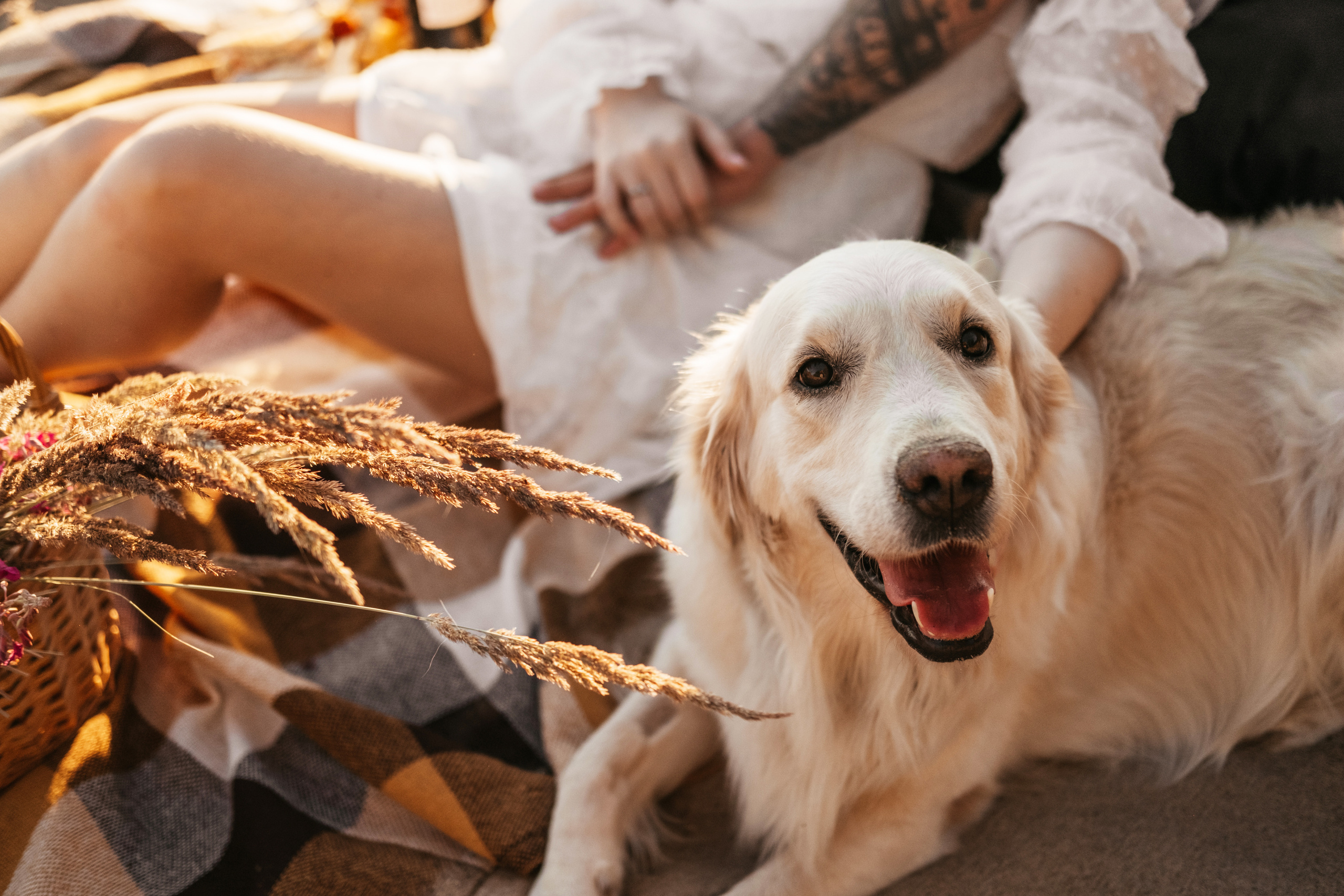 Л+Л+Л. Свадебный и семейный фотограф в Ульяновске Анастасия Мышенкова