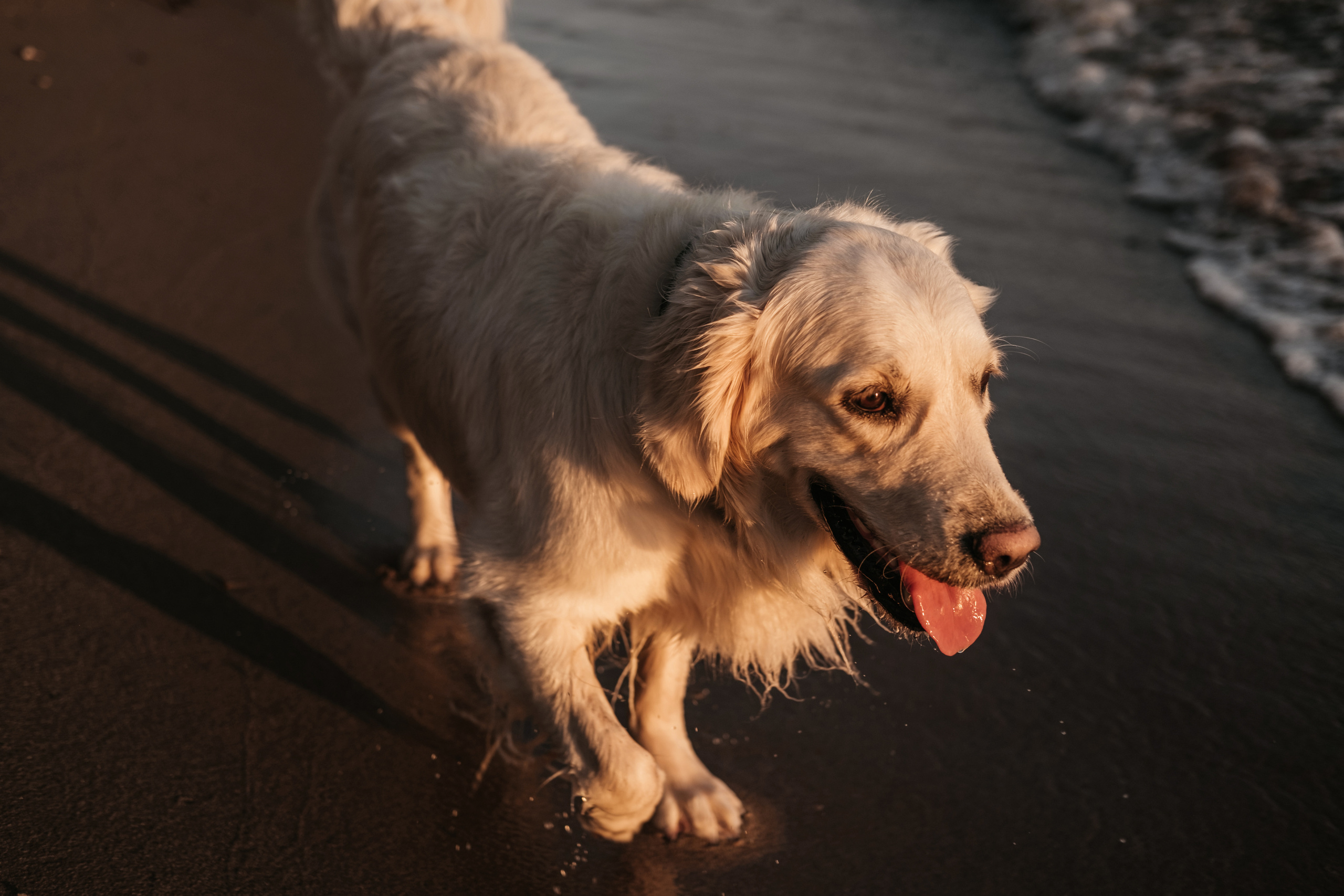 Л+Л+Л. Свадебный и семейный фотограф в Ульяновске Анастасия Мышенкова