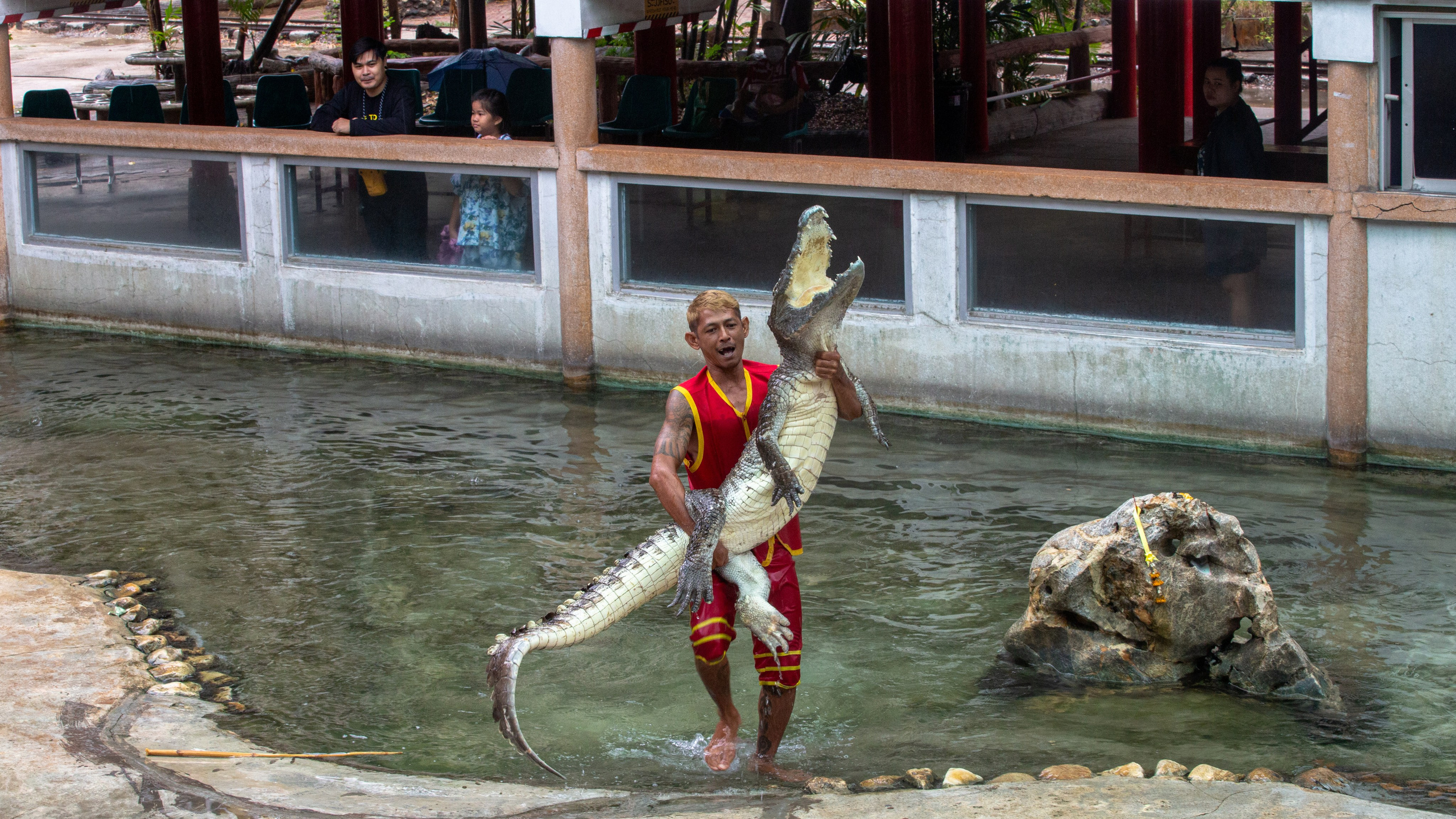 Samut Prakan Crocodile Farm & Zoo. Photographer Sonkina Tatiana (Tanya Ash)