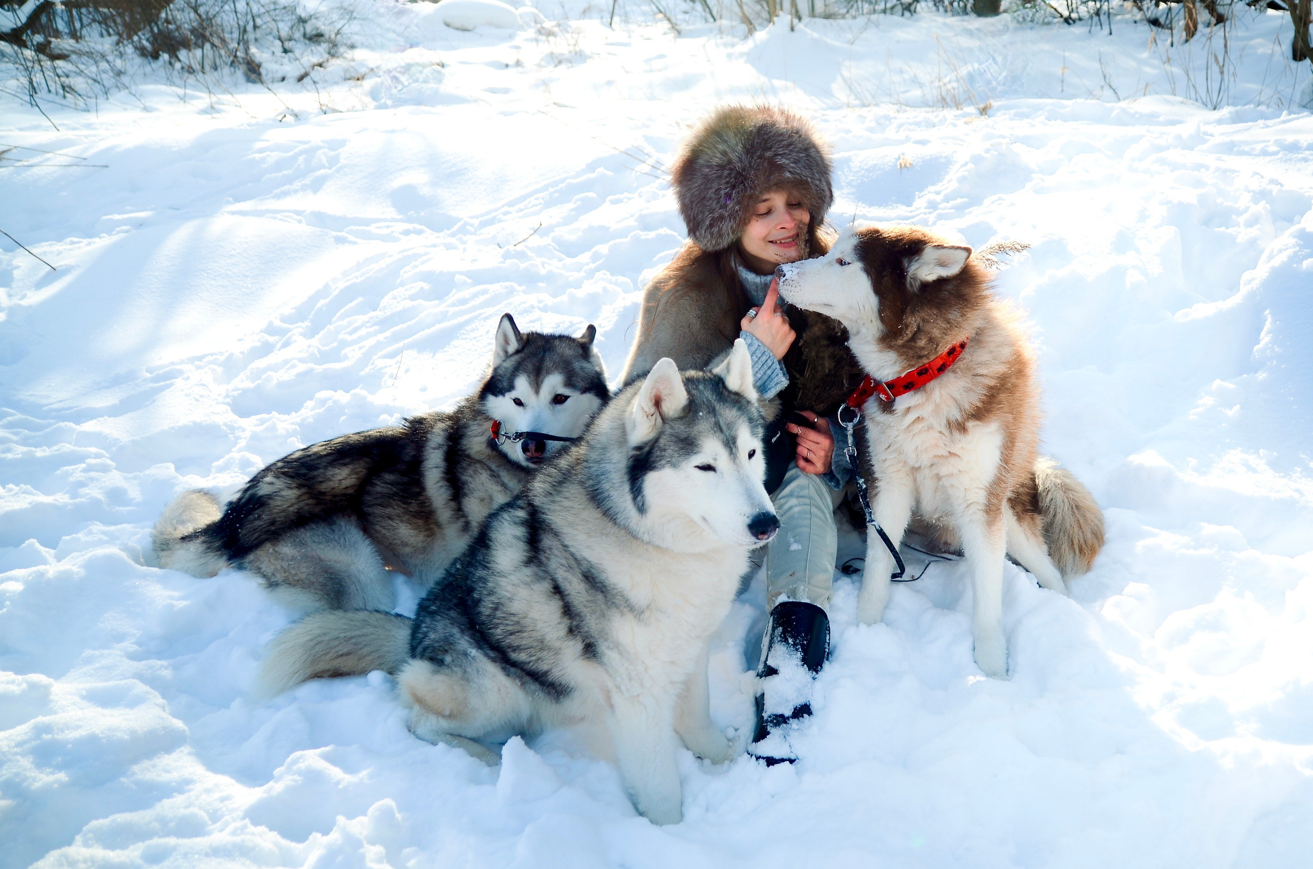 Неотъемлемая часть семьи. Семейный и детский фотограф Александра Гвоздикова