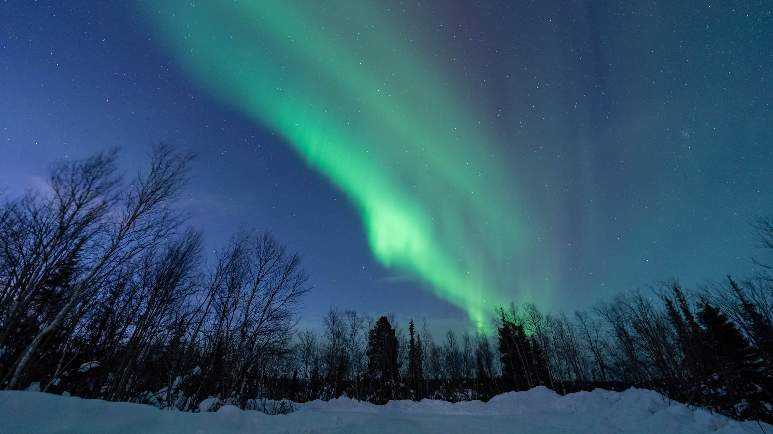 Мурманск, северное сияние, aurora borealis
