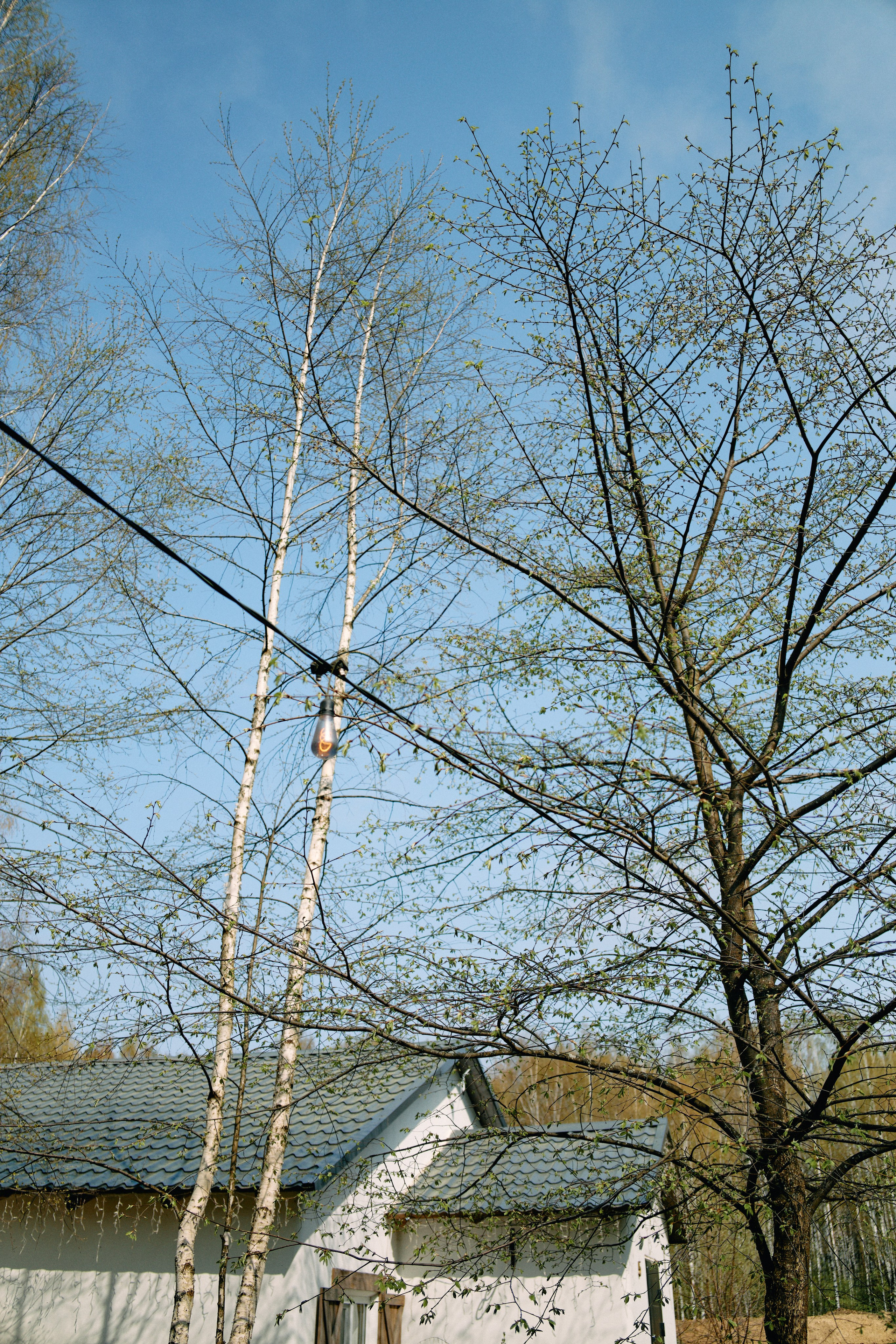 Бутик-отель Поле летом. Профессиональный Фотограф во Владимире, в Москве и в Суздале — Полина Романычева