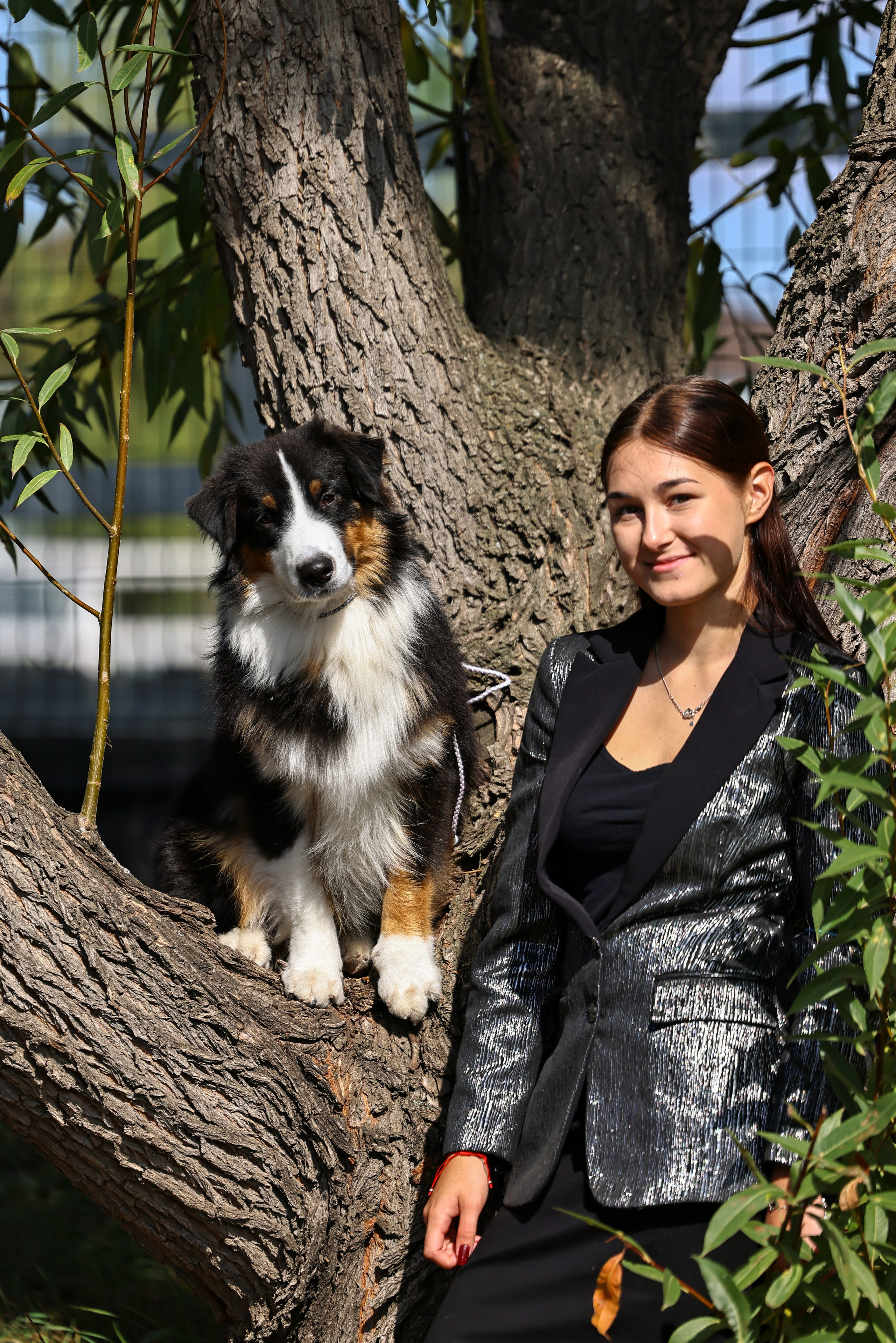 Астана 2хCACIB 26-28.09.2025. Фотограф-анималист Юлия Германика