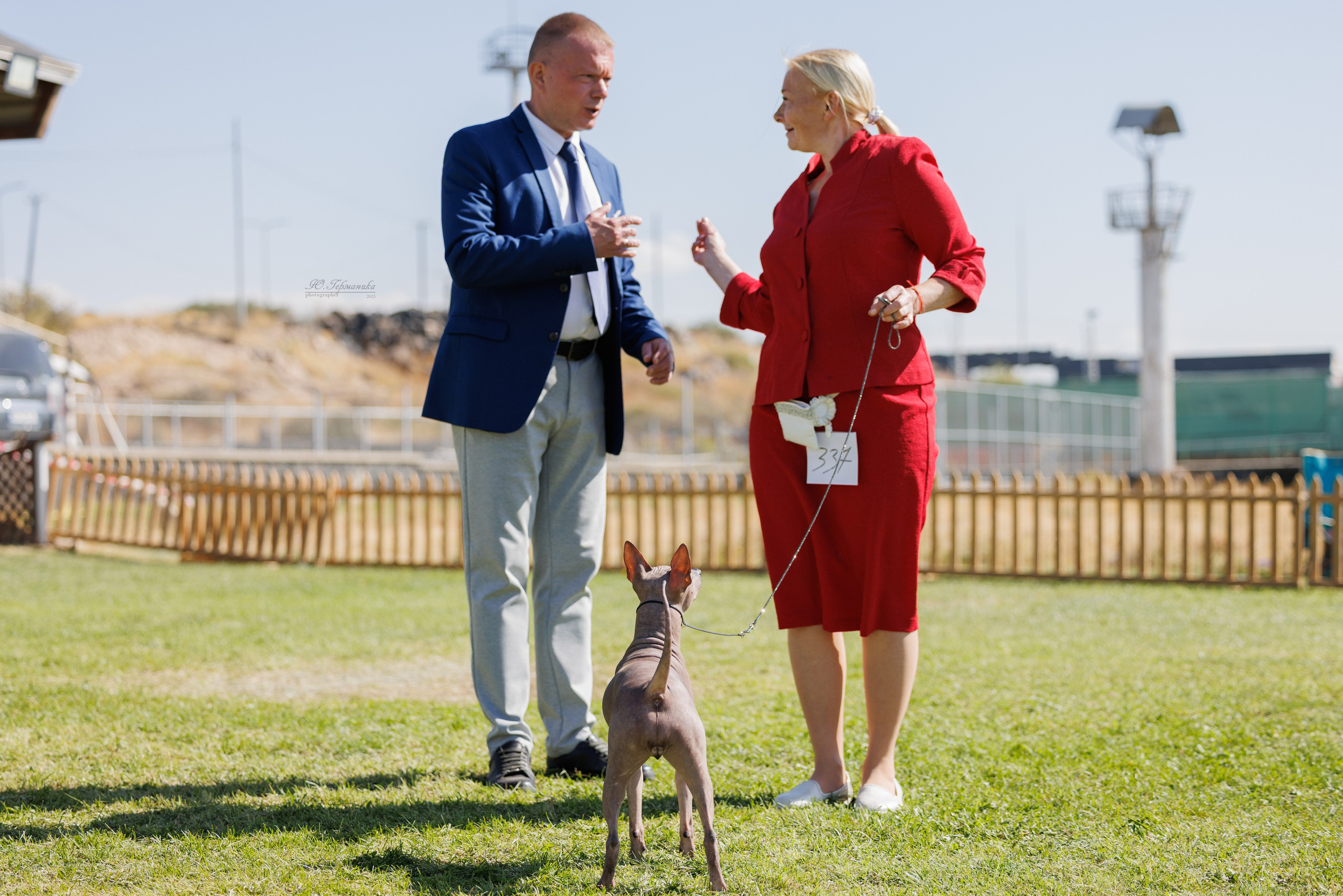 Ереван 14-16.10.2025. Фотограф-анималист Юлия Германика