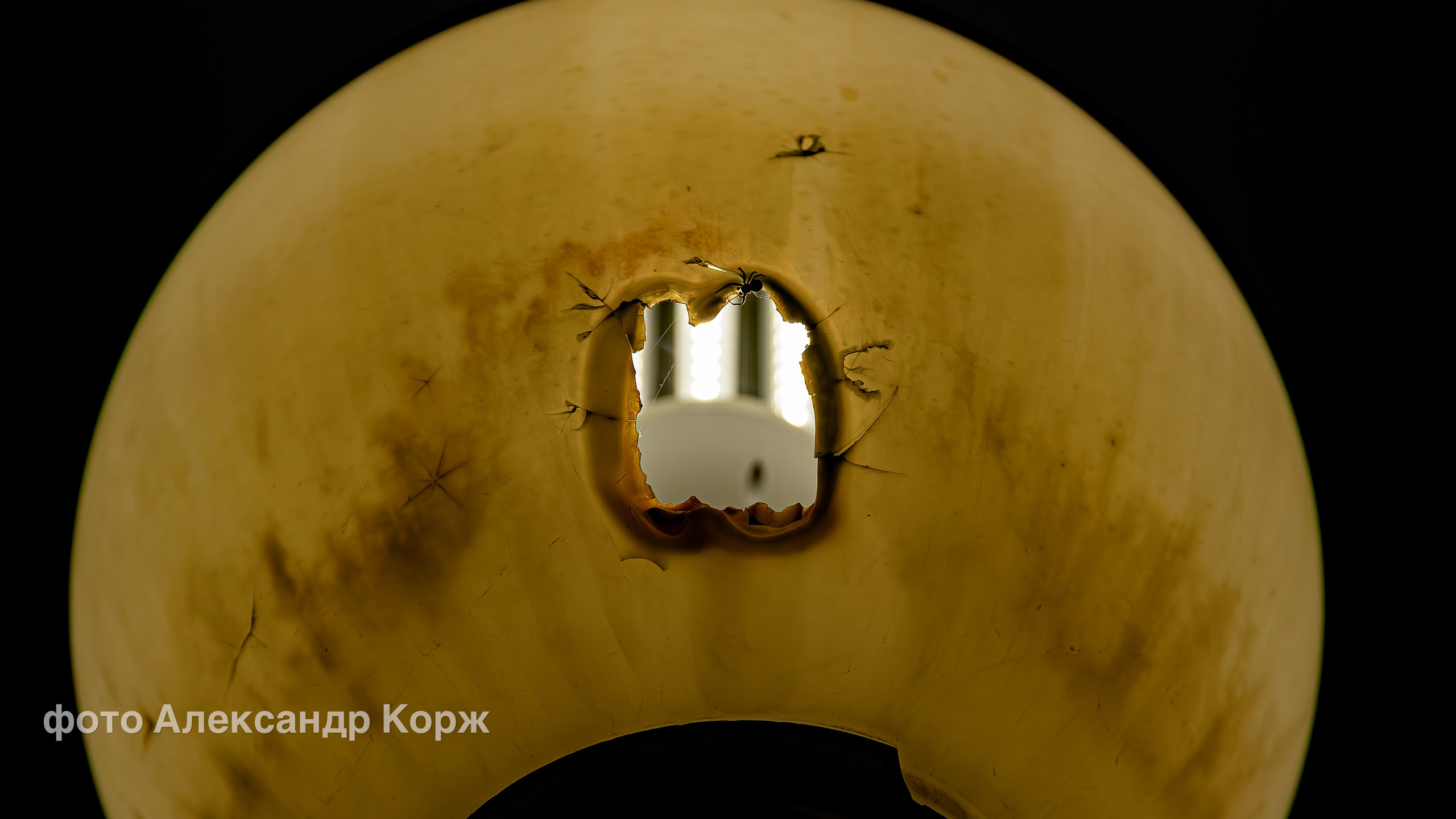 Фотографии Северного поселка Айхал. Фотографии и видеосъемка, Айхал, Удачный, Якутия. Фотографии Айхал