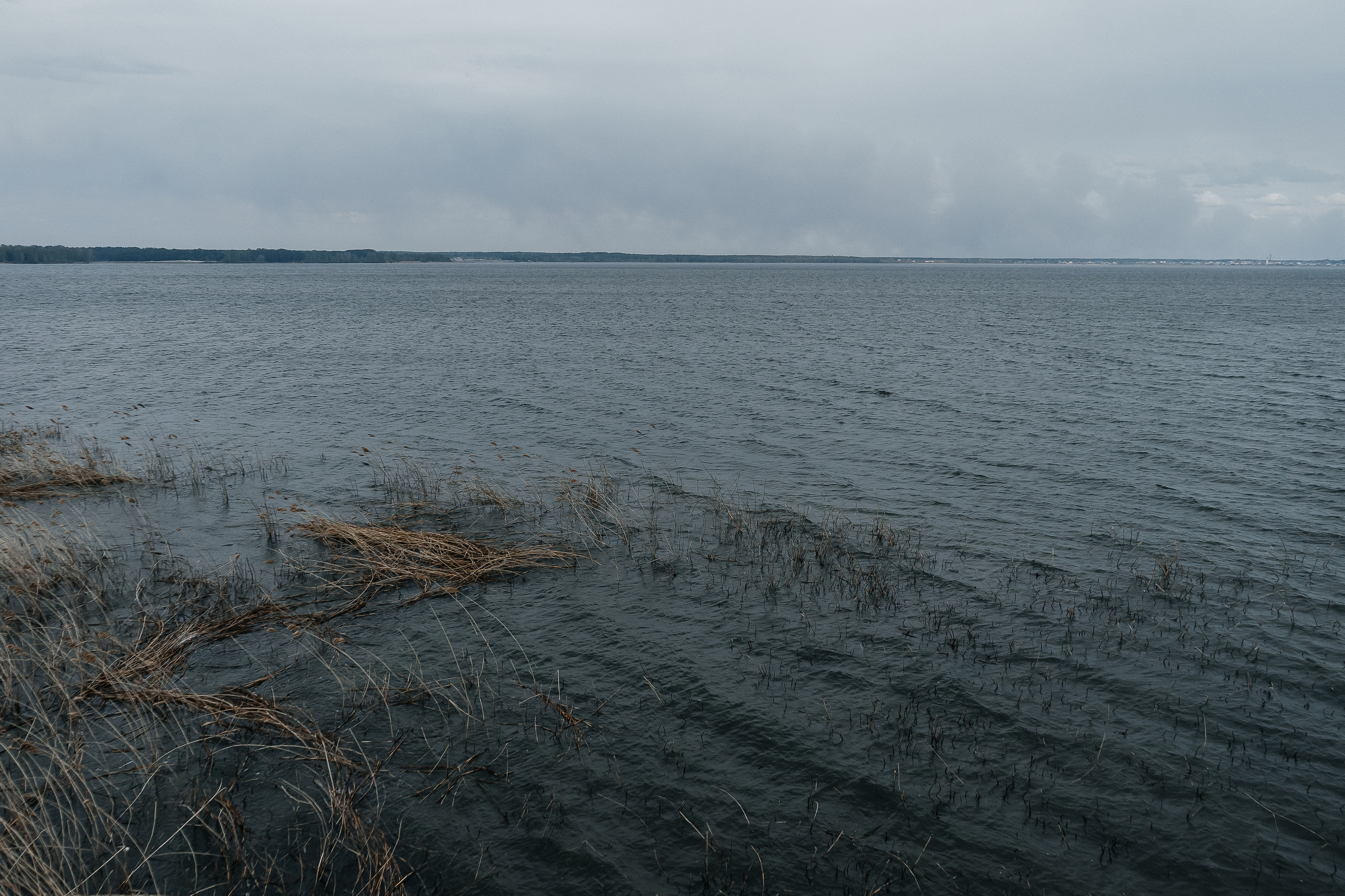 Antony&Valery. Свадебный фотограф AllexD в Москве, Санкт-Петербурге
