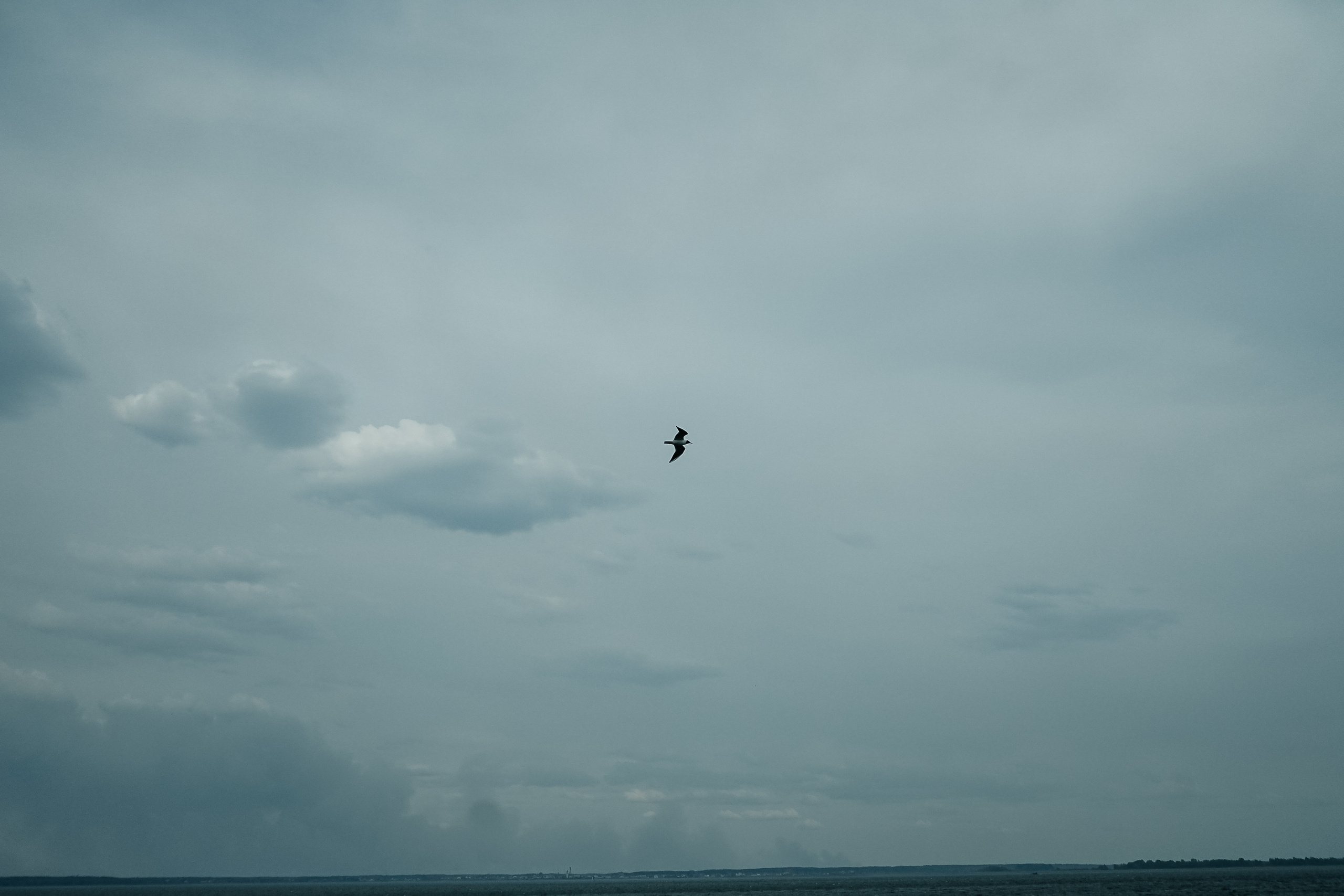 Antony&Valery. Свадебный фотограф AllexD в Москве, Санкт-Петербурге