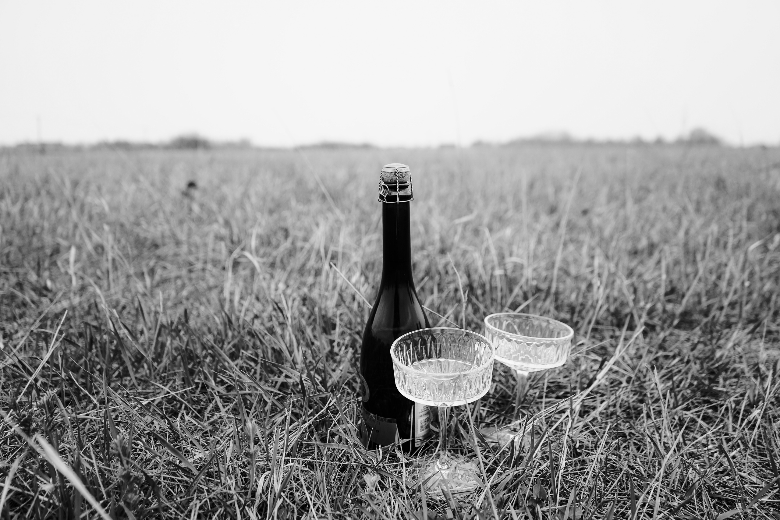 Antony&Valery. Свадебный фотограф AllexD в Москве, Санкт-Петербурге