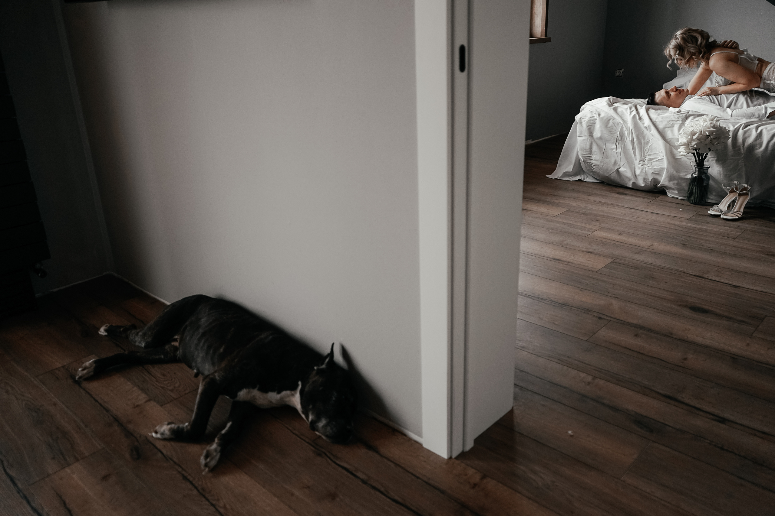 Antony&Valery. Свадебный фотограф AllexD в Москве, Санкт-Петербурге