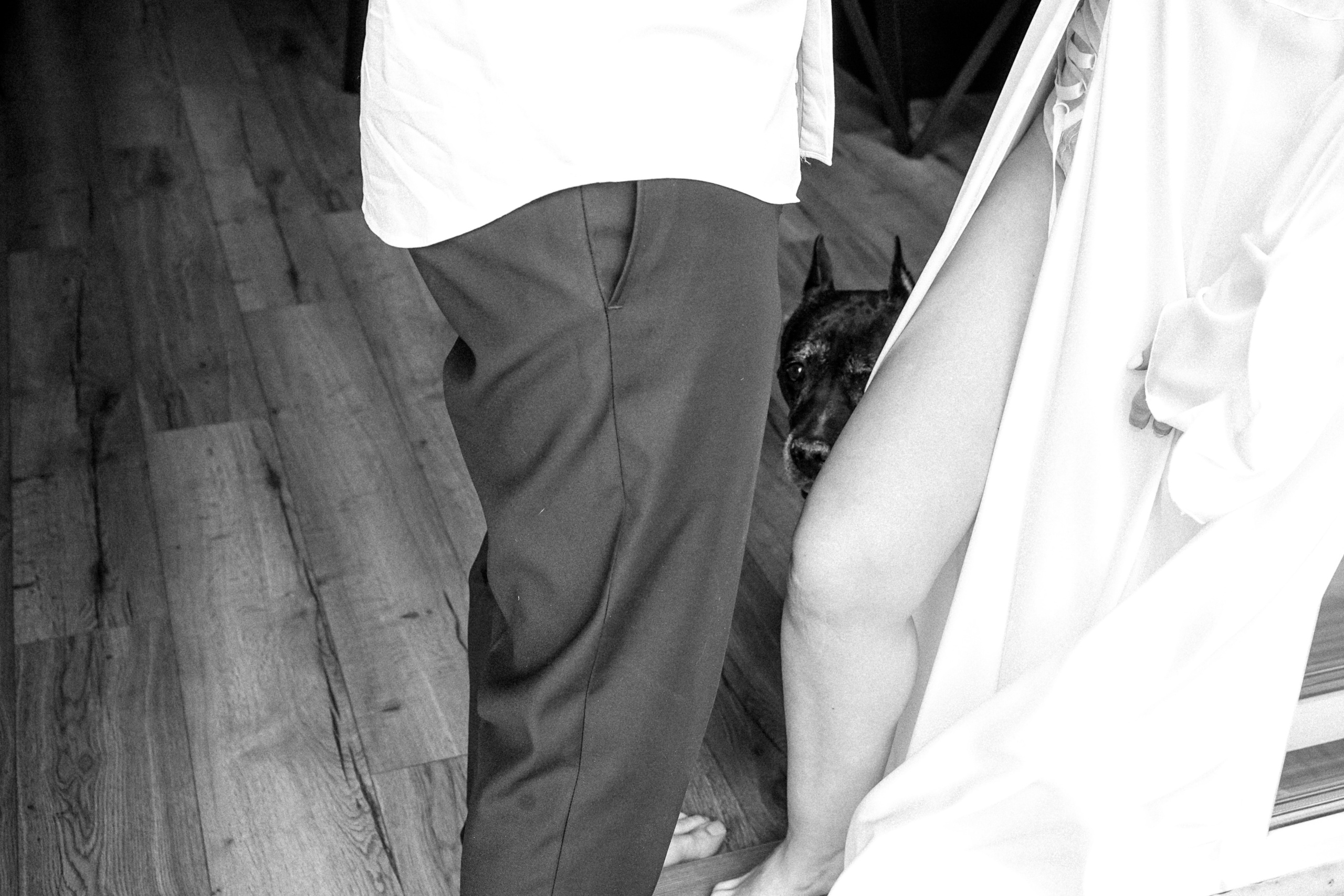 Antony&Valery. Свадебный фотограф AllexD в Москве, Санкт-Петербурге