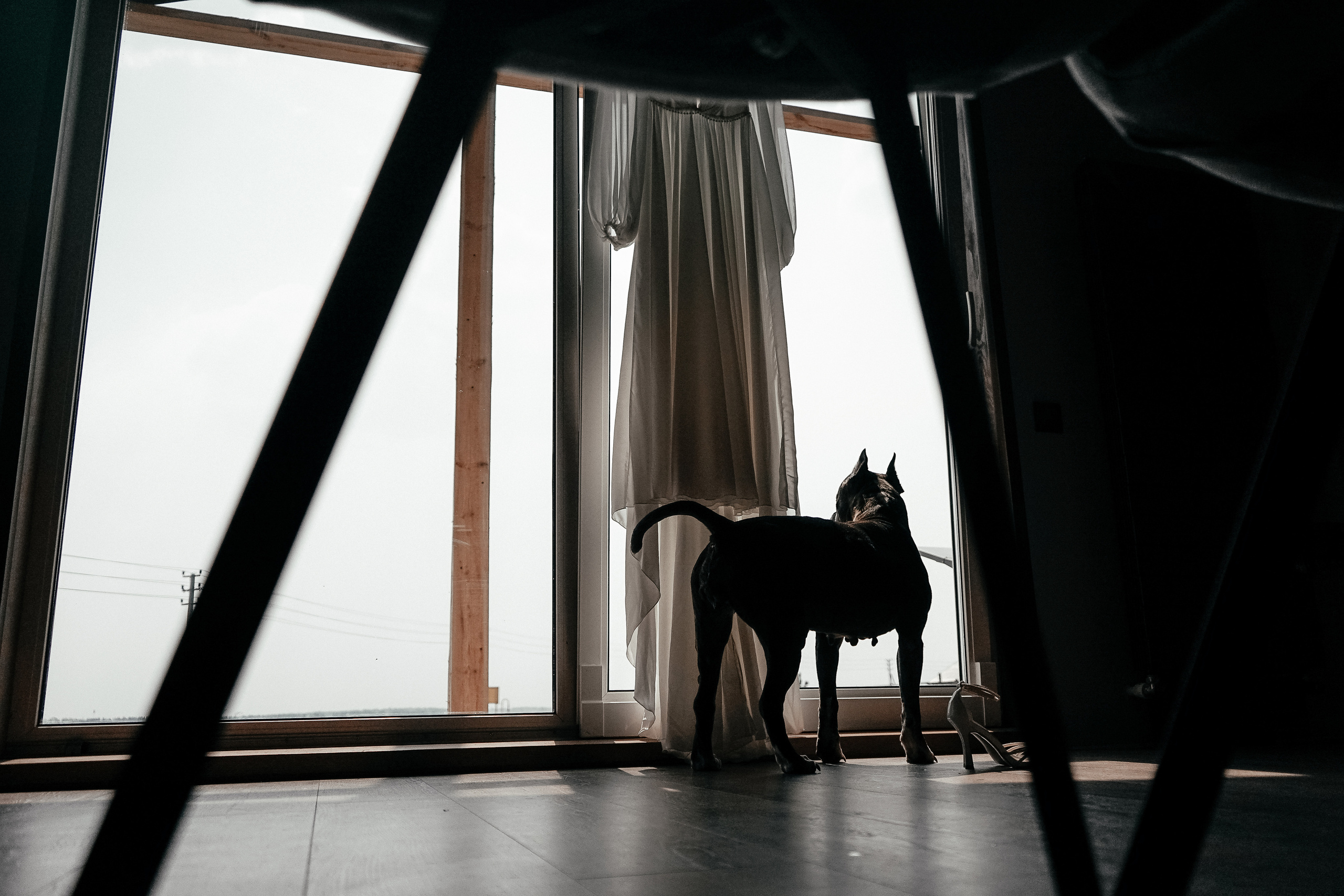 Antony&Valery. Свадебный фотограф AllexD в Москве, Санкт-Петербурге