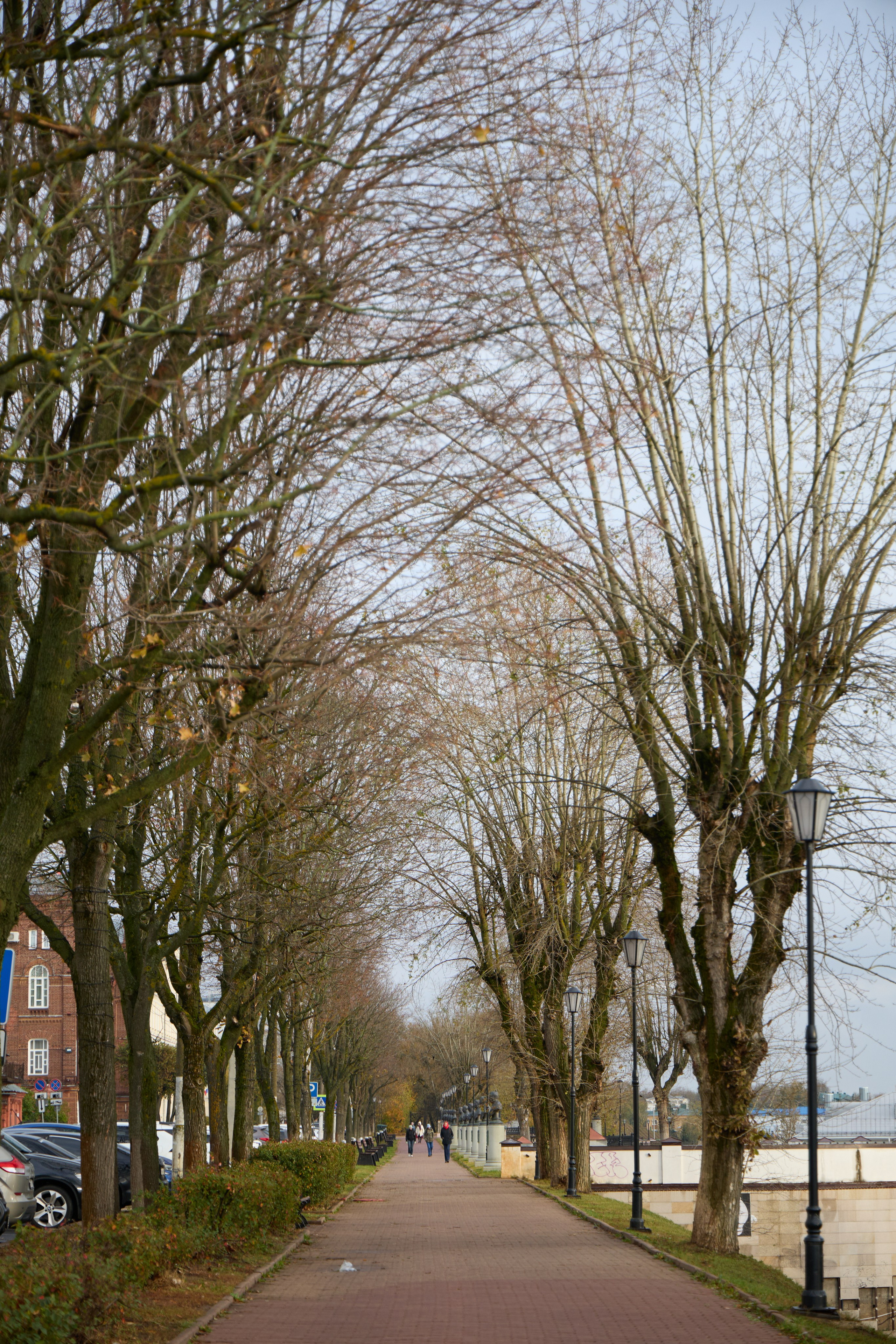Пейзажи. Свадебный и репортажный фотограф в Воронеже Сергей Максимов