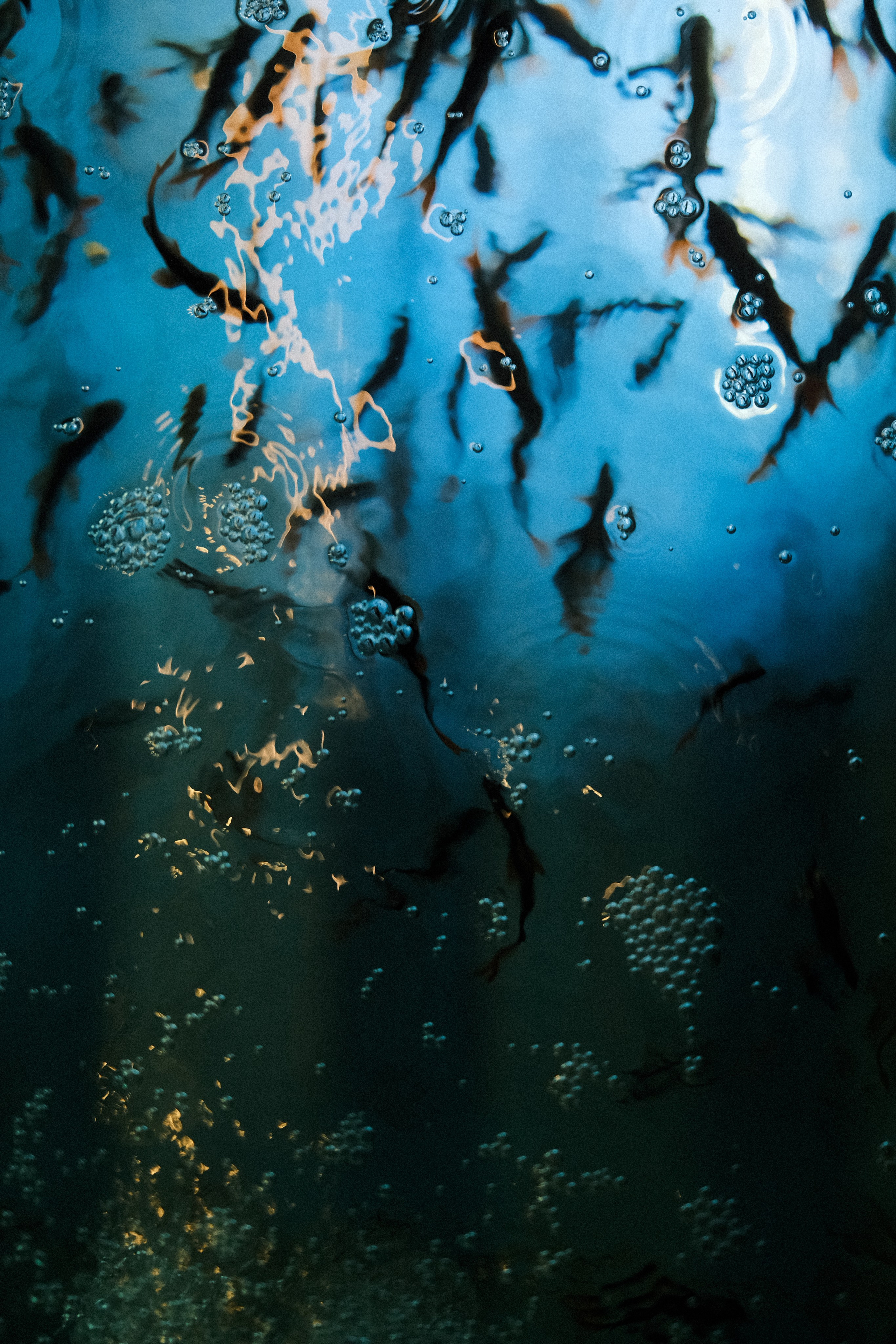 Nowhere and Everywhere. Портретный фотограф