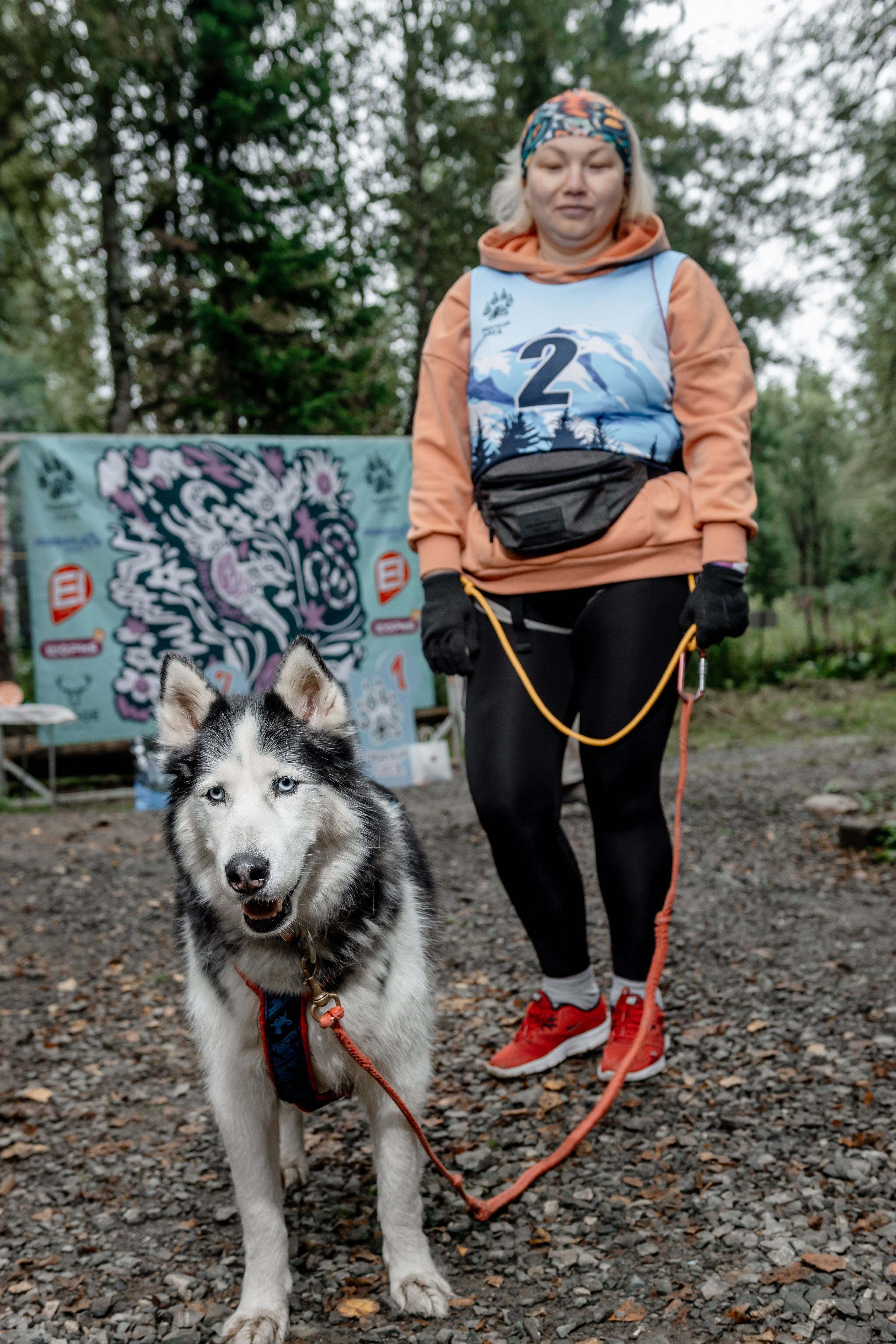 Дог-треккинг