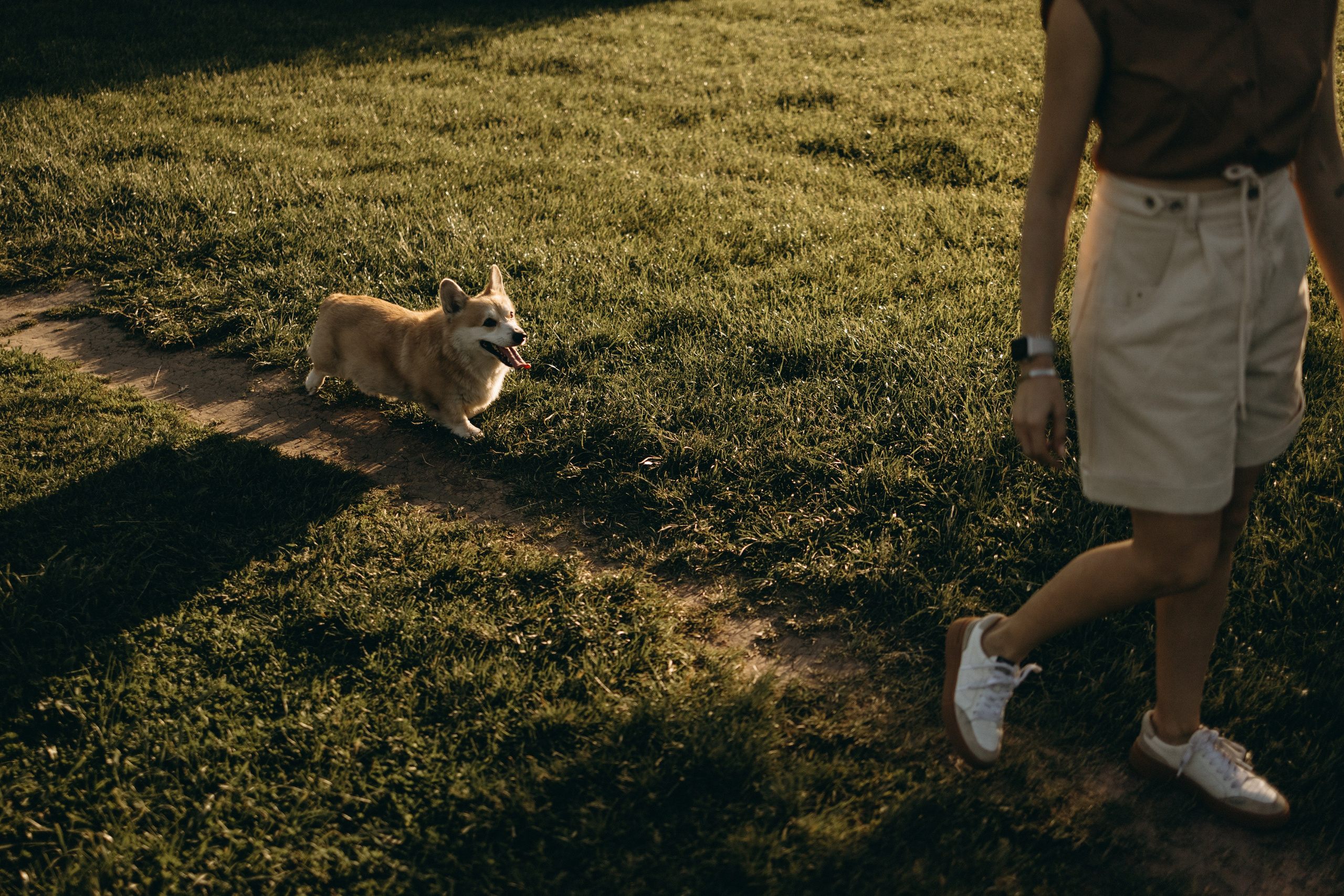 Кристина и Шелби. Фотограф — Анималист | Санкт-Петербург