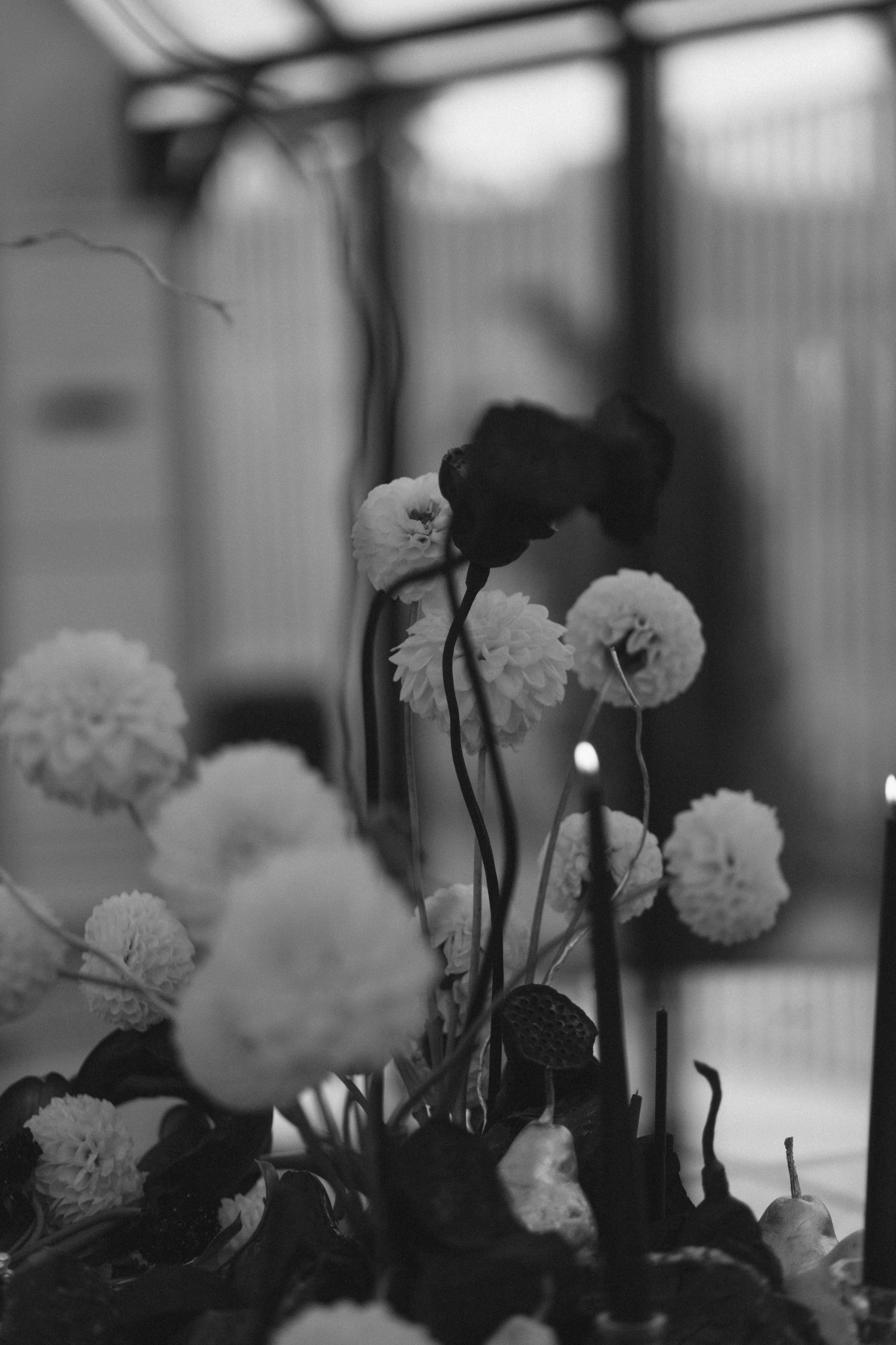 Екатерина и Никита. Семейный фотограф Губкин/Старый Оскол