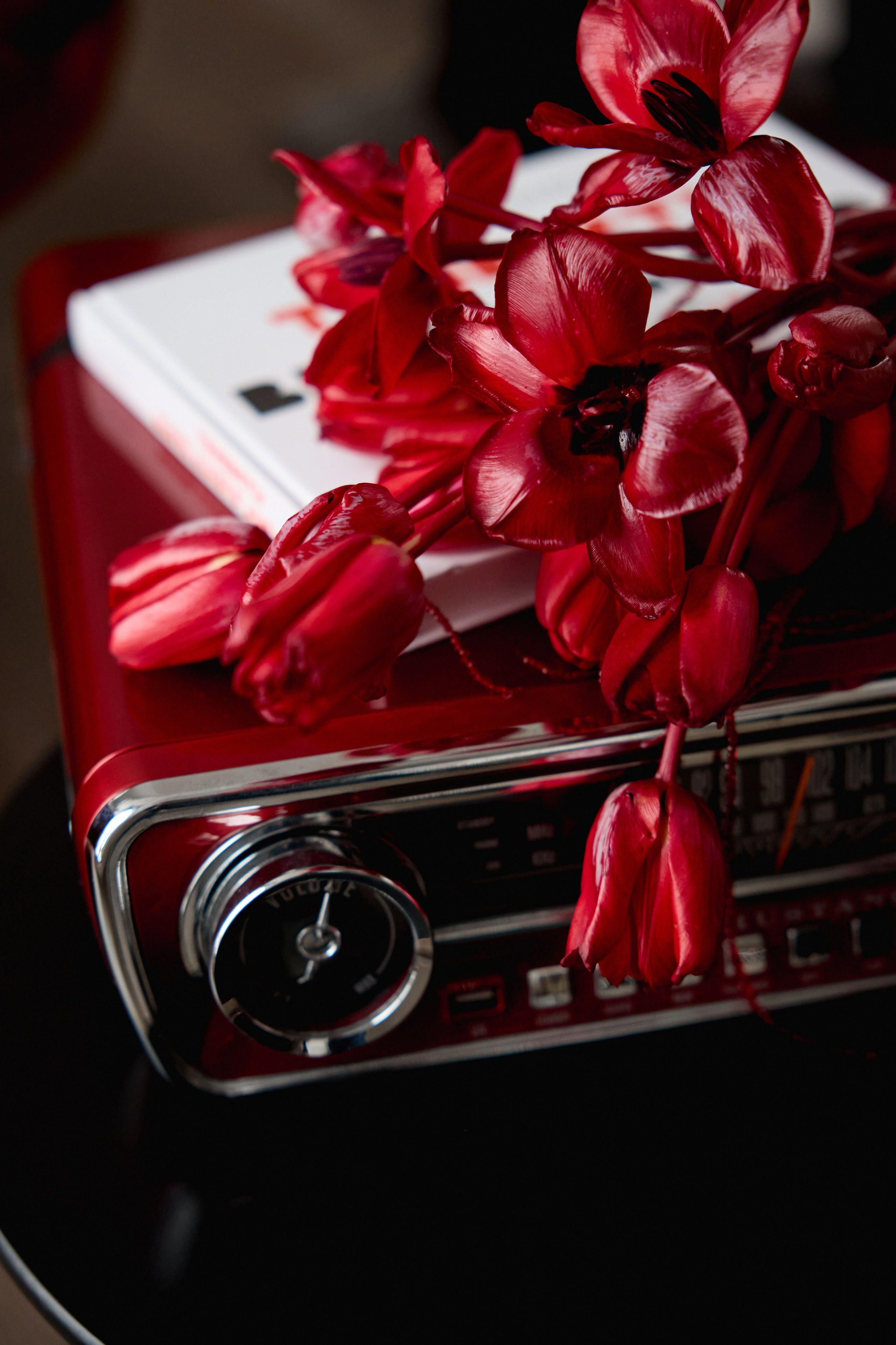 Портфолио. Свадебный фотограф Соколов Валерий