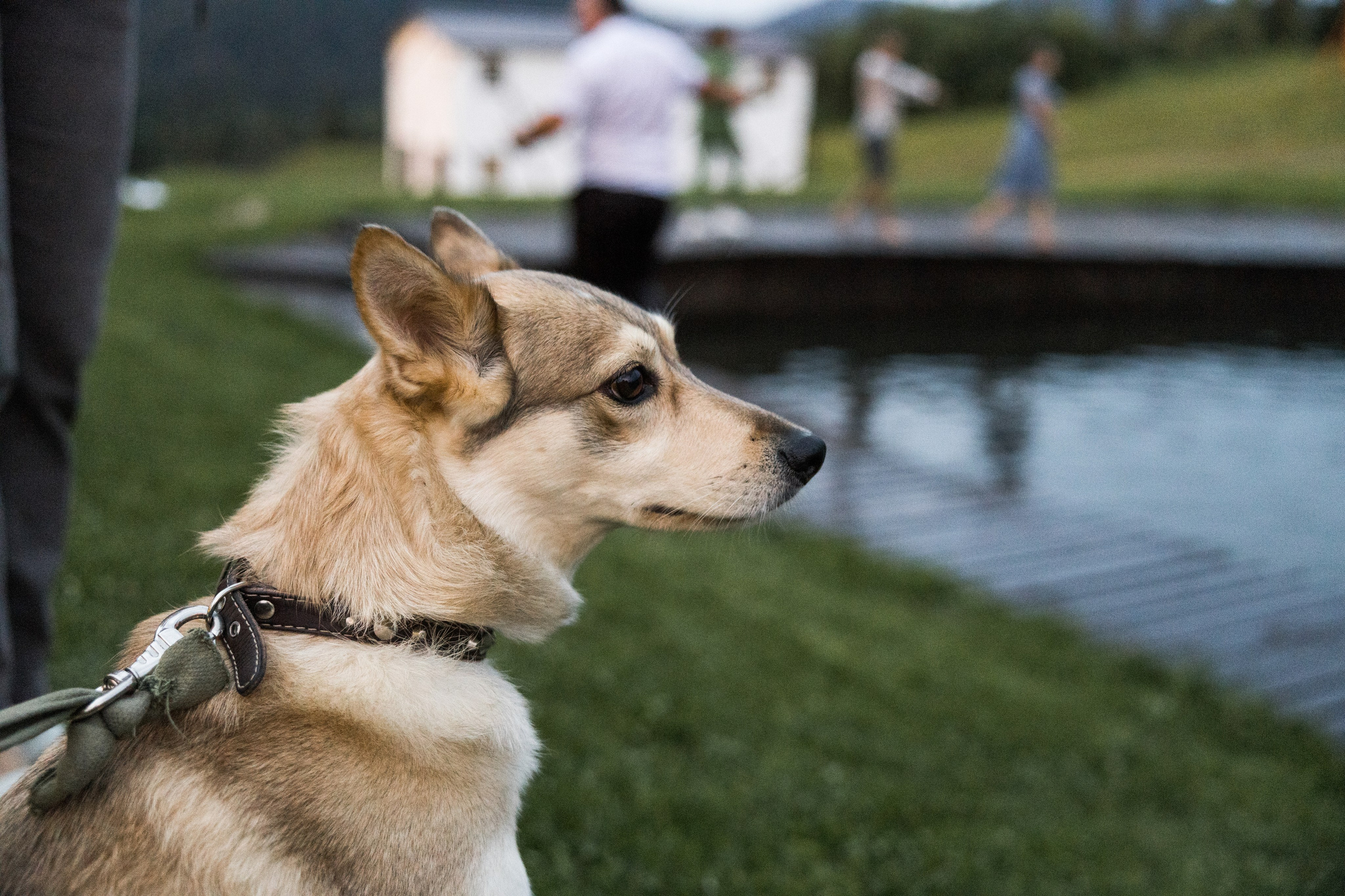 Катя и Кирилл