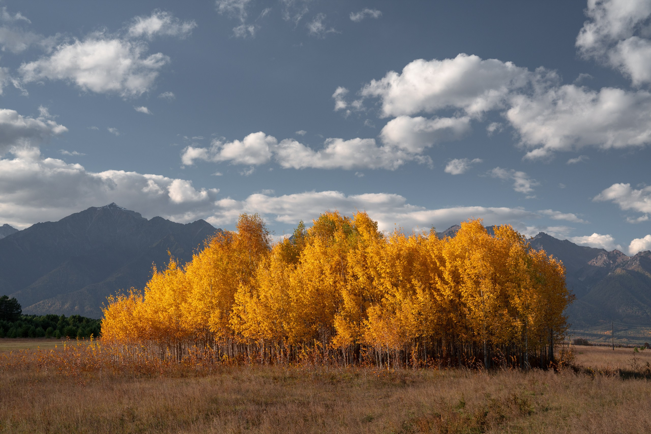 Бурятия. Фотограф в Красноярске Нерозя Александр. Пейзаж, природа, портрет