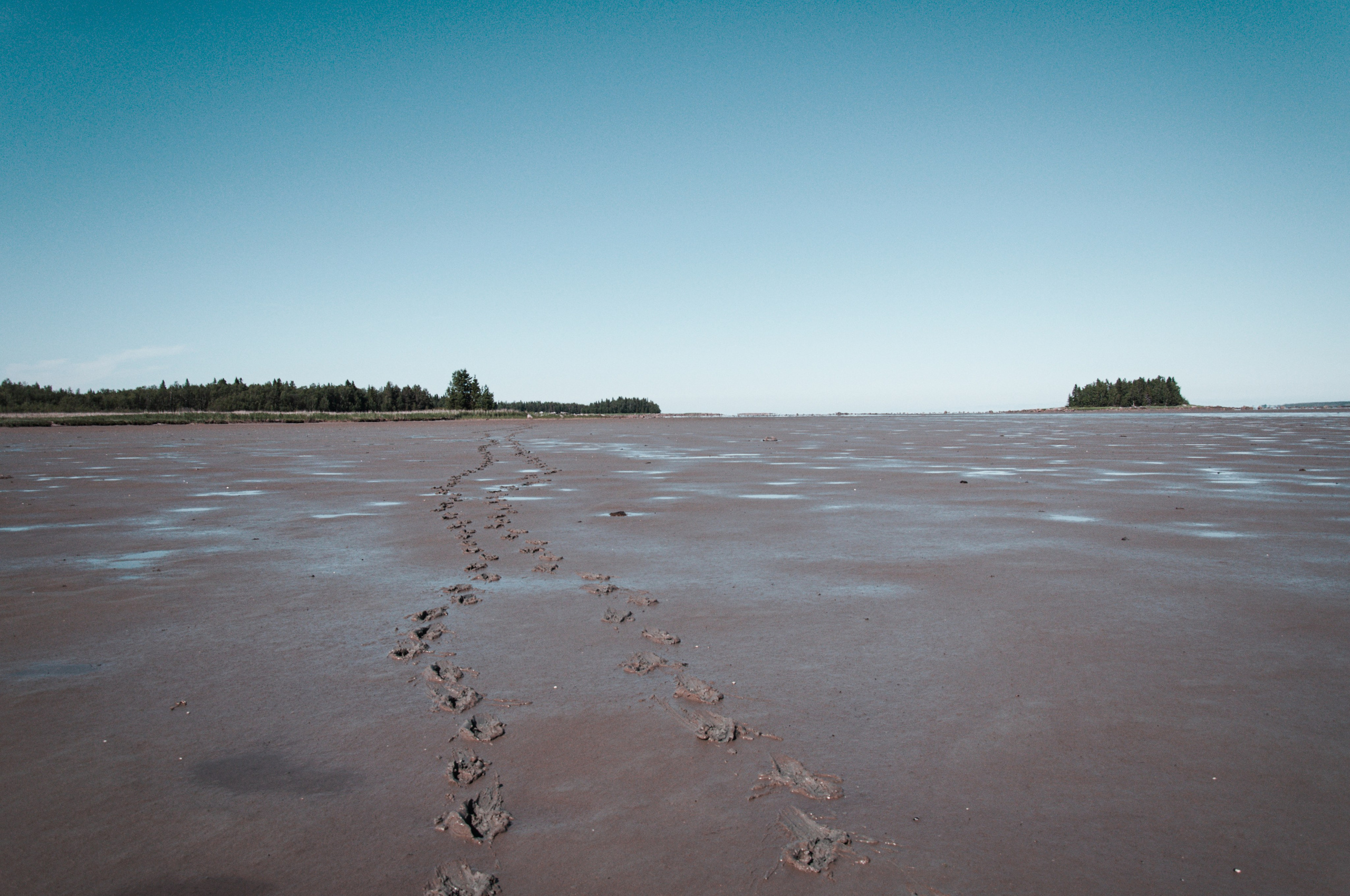 Фотографии с Белого моря. Авторские походы по Белому морю