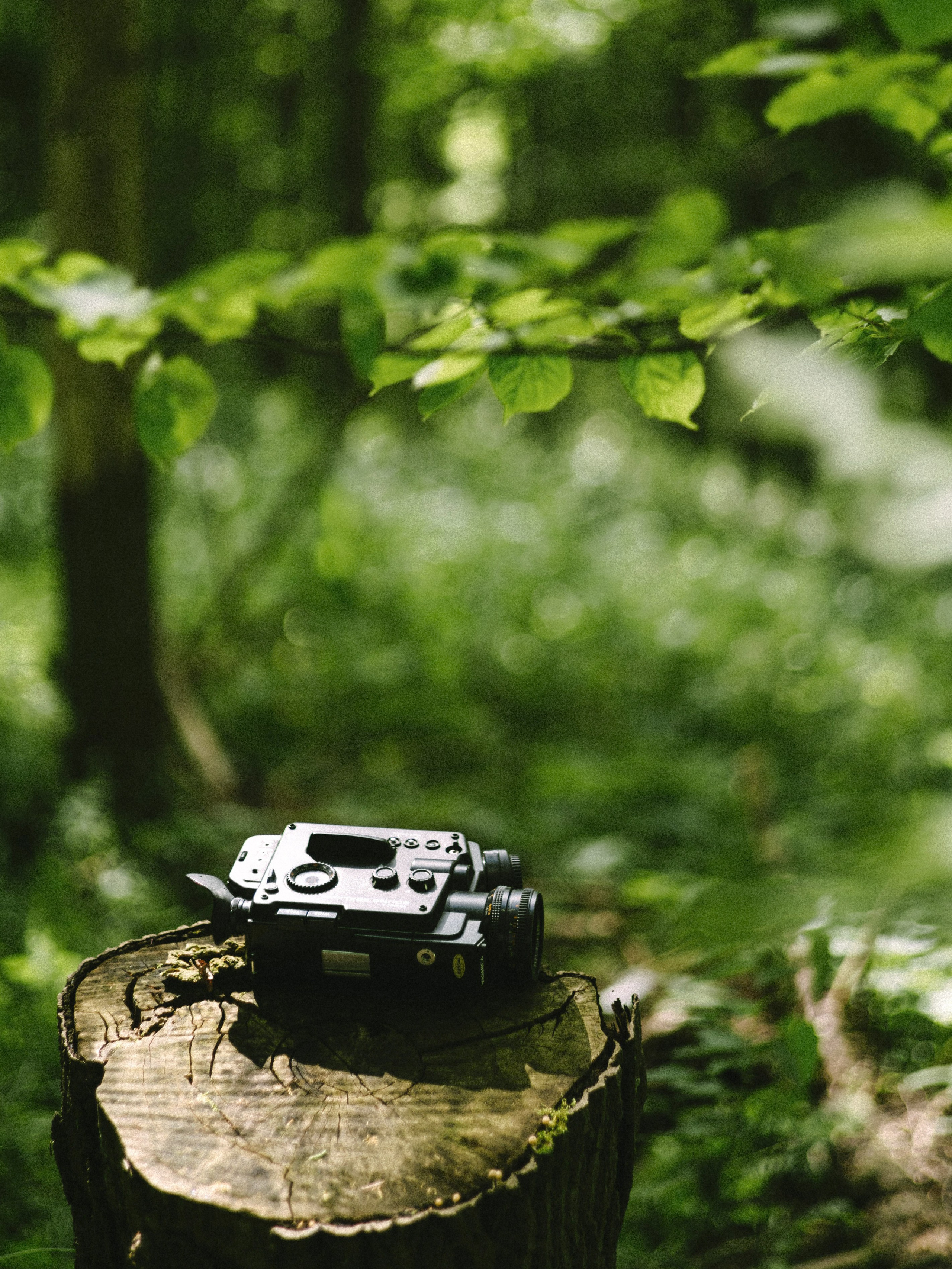 Сева и Маша. Свадебный фотограф в Москве Денис Анурьев