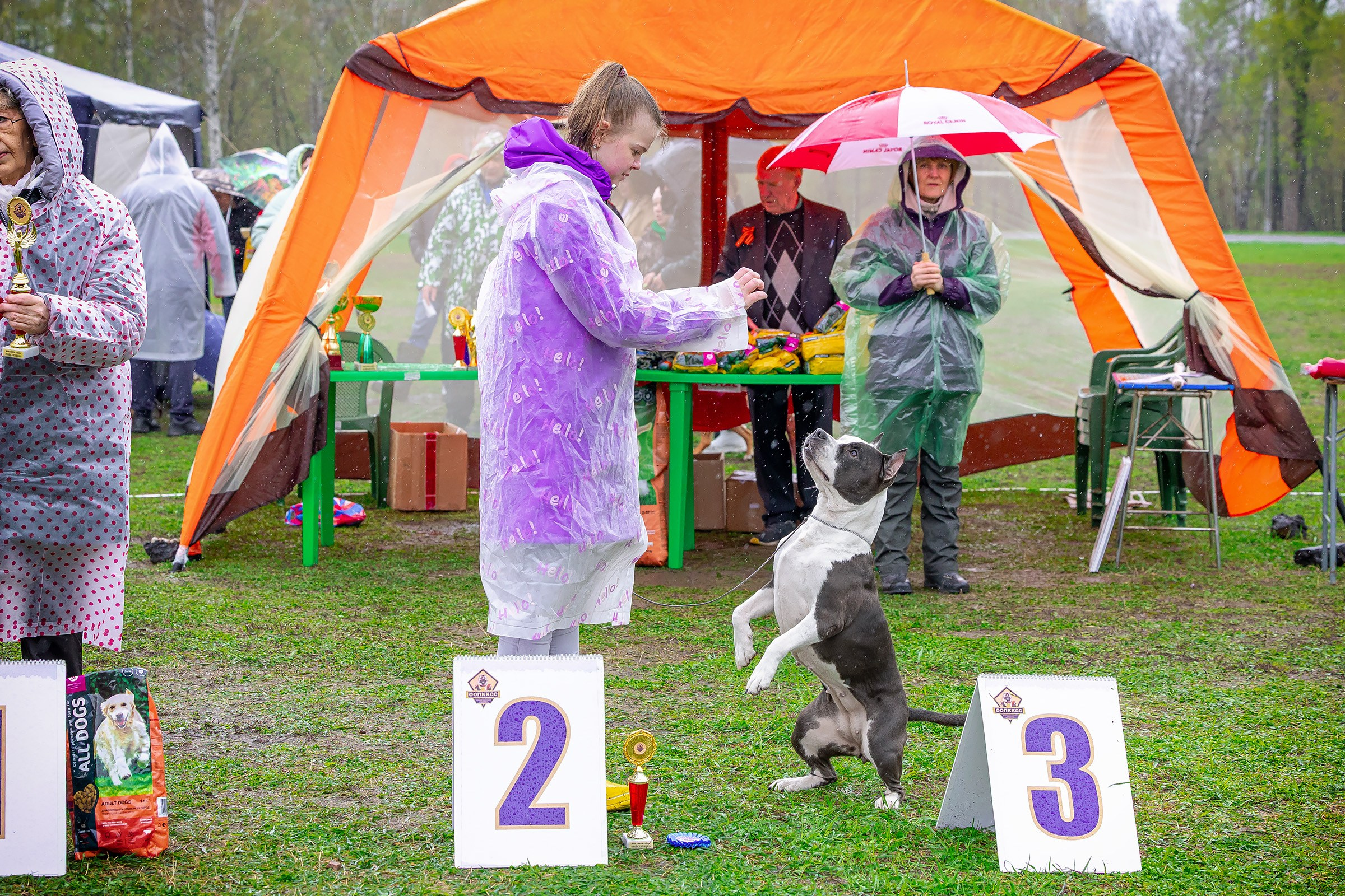 11 мая 2025, Выставка РКФ, г. Пермь. Htykk_photo