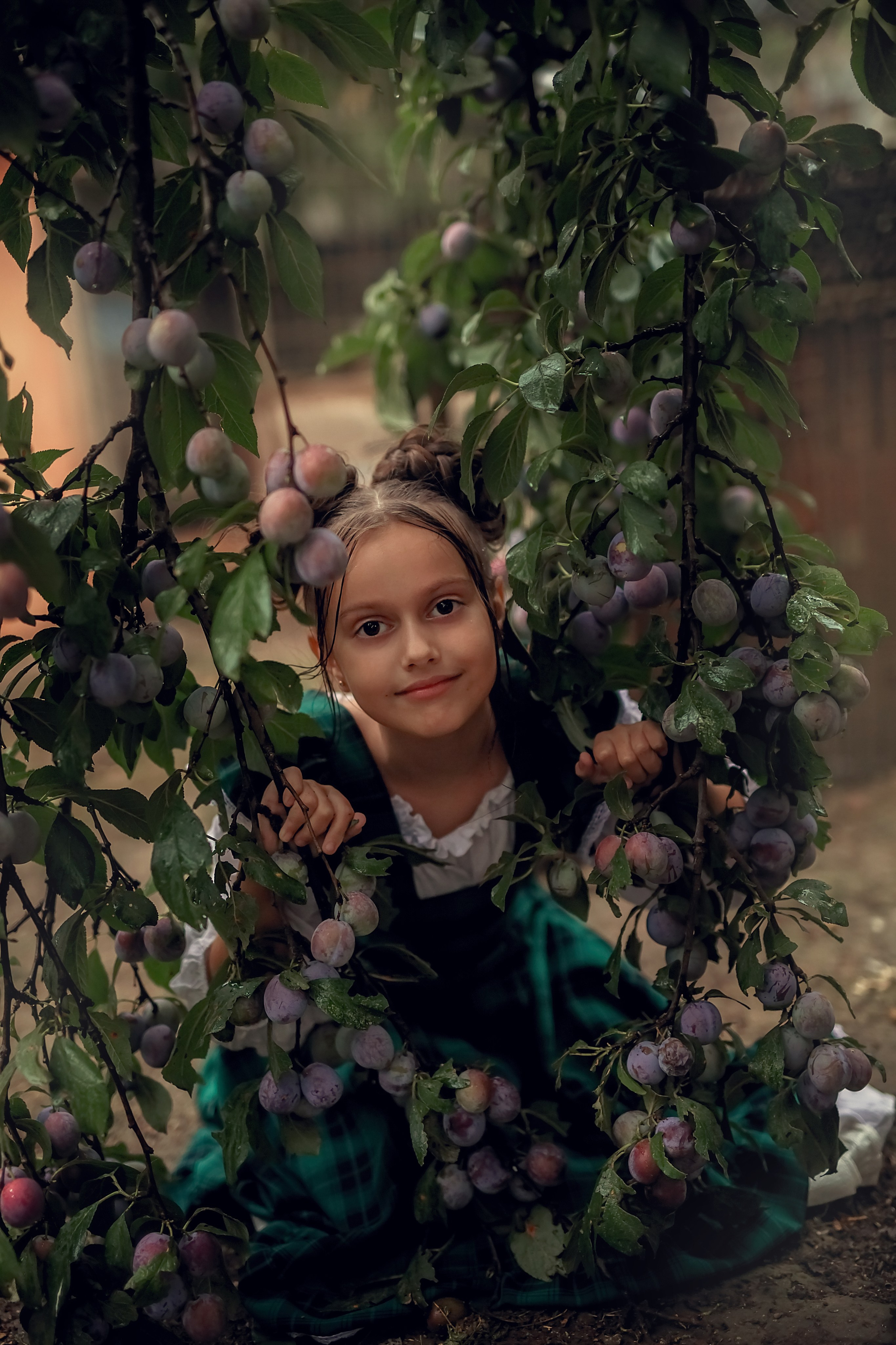 Сливовая история. Семейный и детский фотограф Екатерина Савёлова