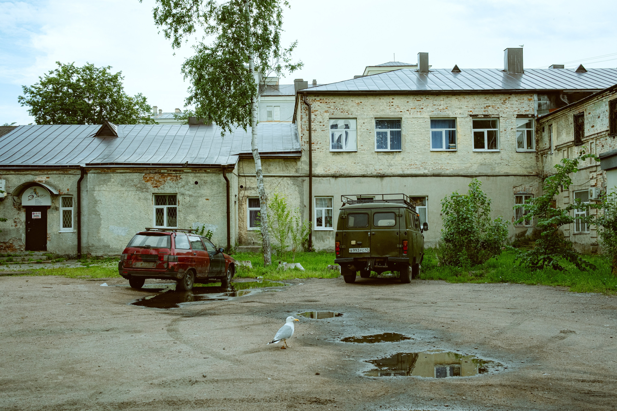 Выборг. Екатерина Лапина фотографирует