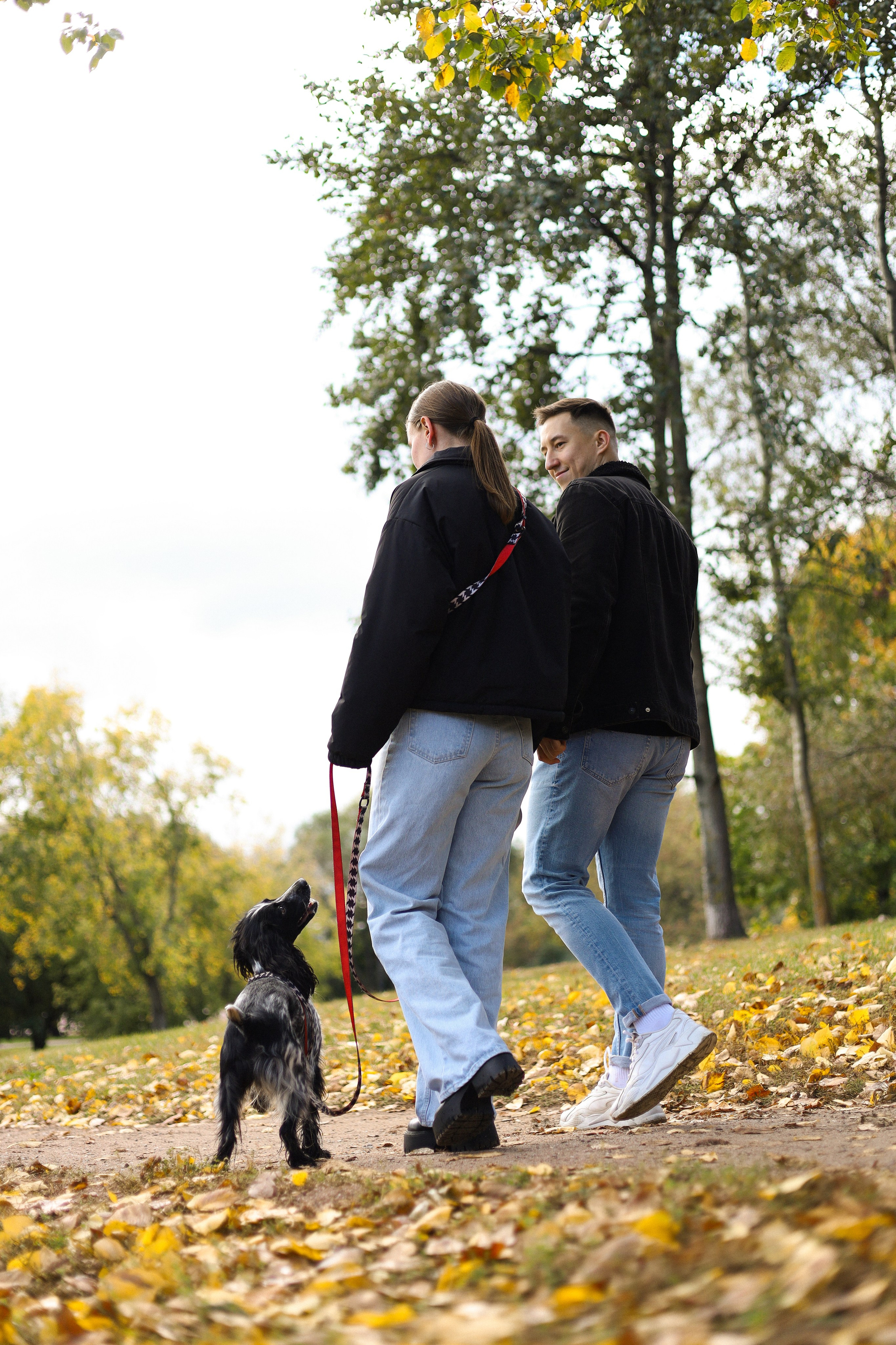 Милка, Вероника и Тимофей. Фотограф-анималист Ксения Шевцова|Москва
