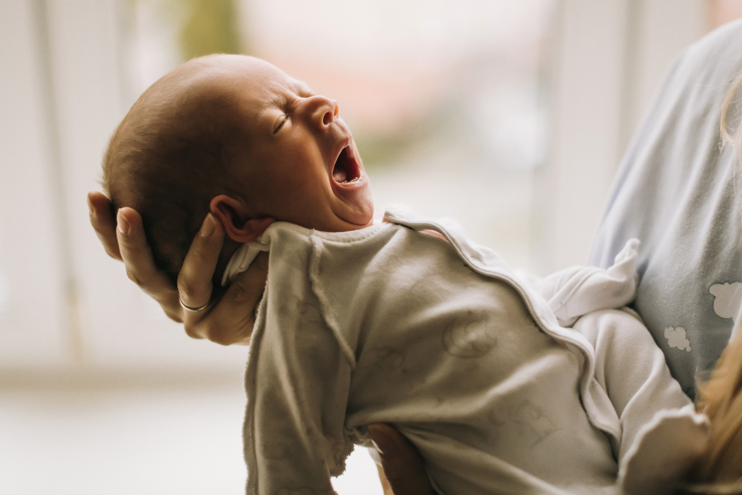 Настя и Миша. Свадебный фотограф в Санкт-Петербурге София Шубик