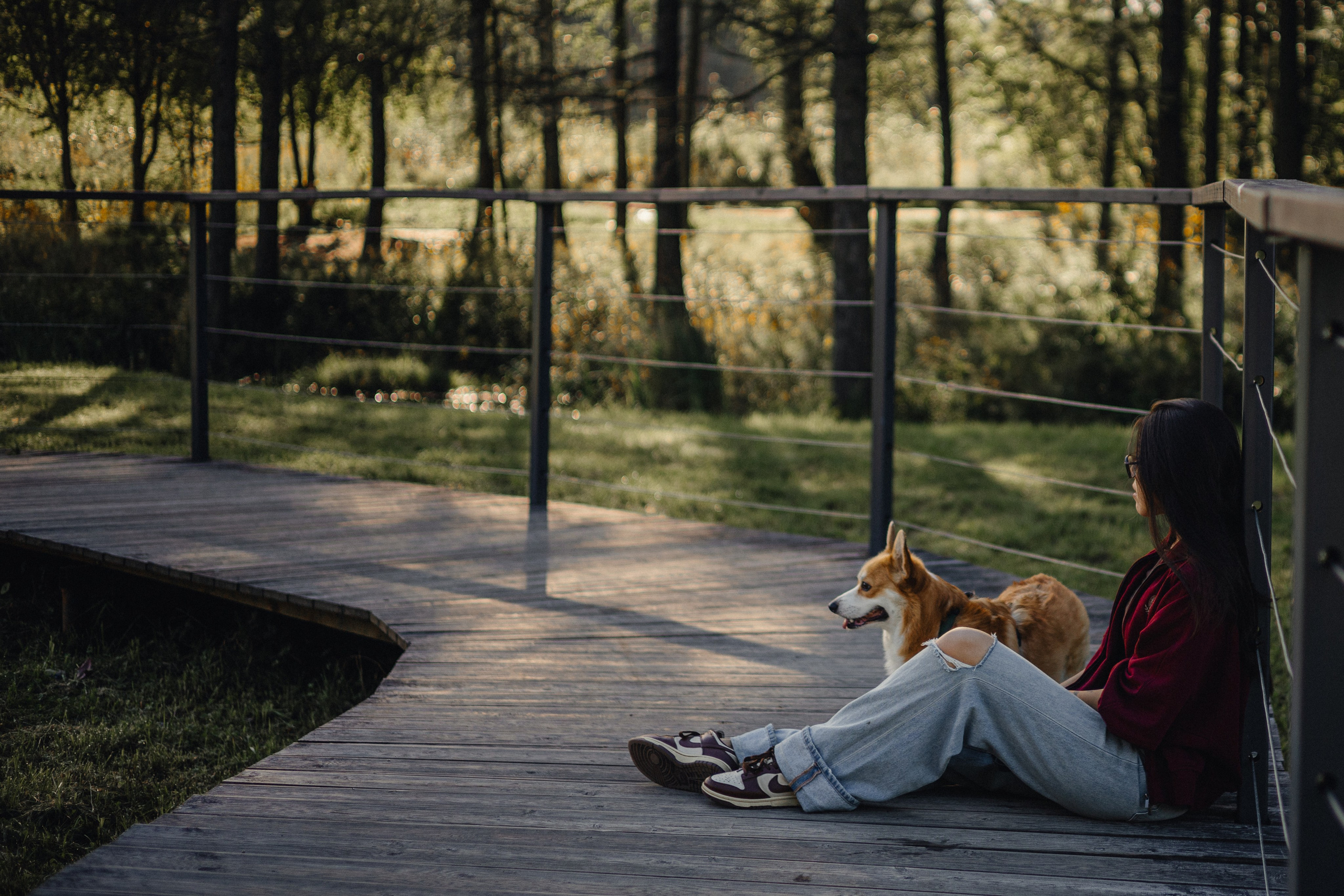Мари & Йосик. Фотограф — анималист •love-story•|Санкт-Петербург