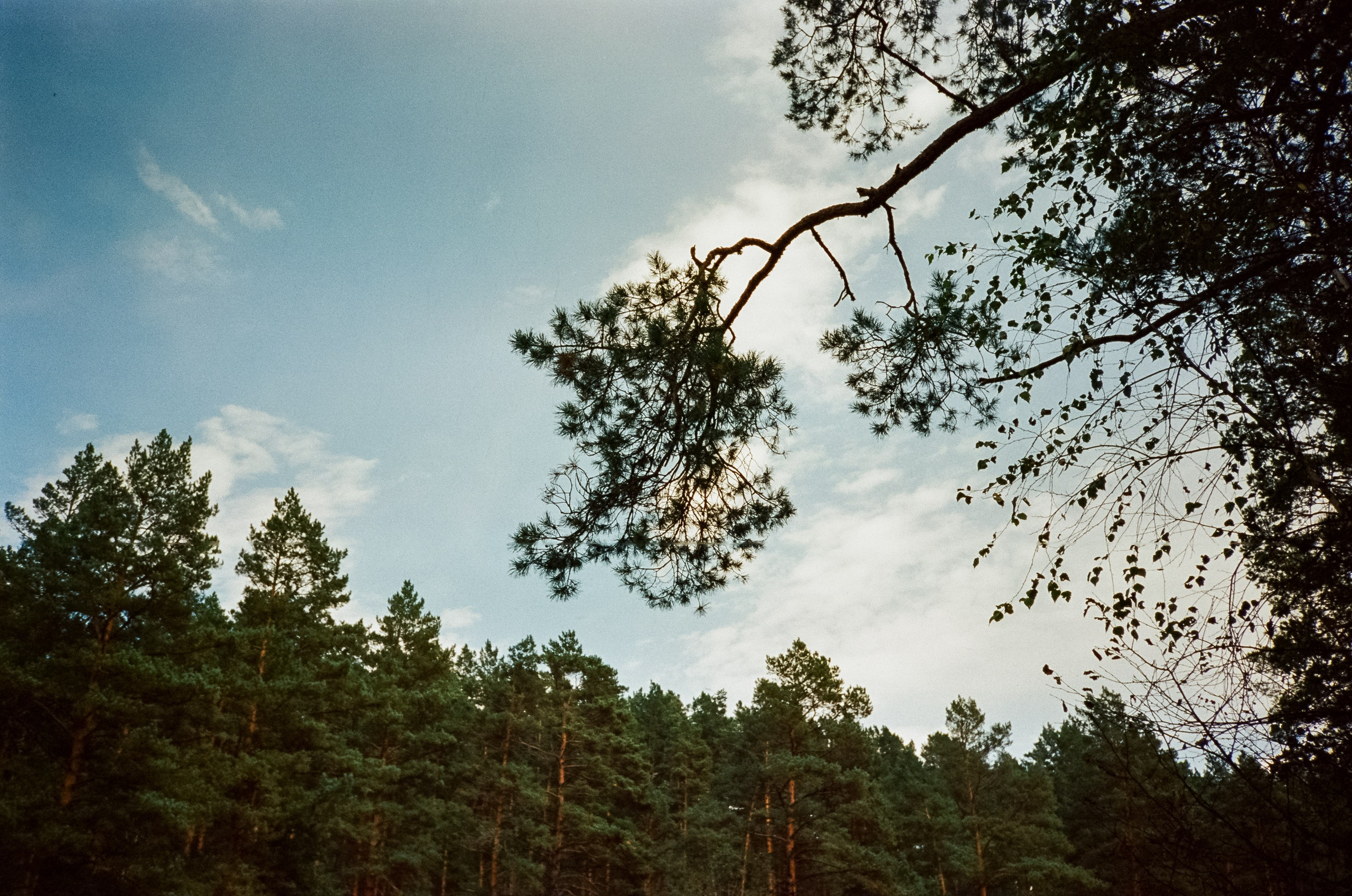Ботанический сад и река Сема. Фотограф-документалист Мария Осокина
