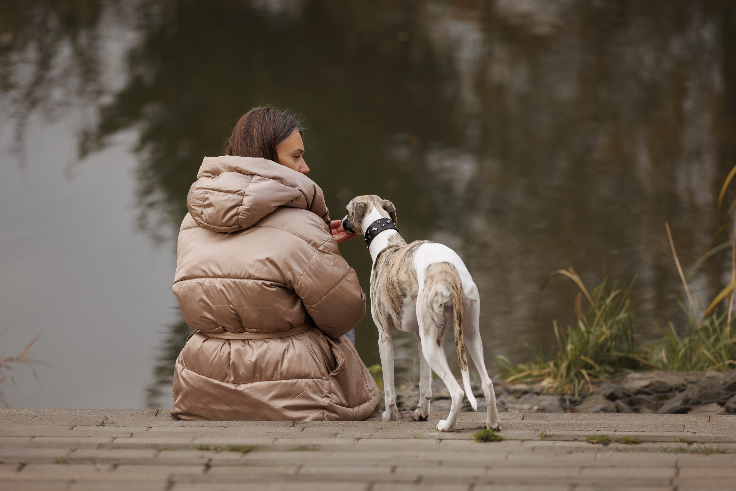 Город Набережных. Фотограф-анималист в Москве и Московской области Татьяна Фролова