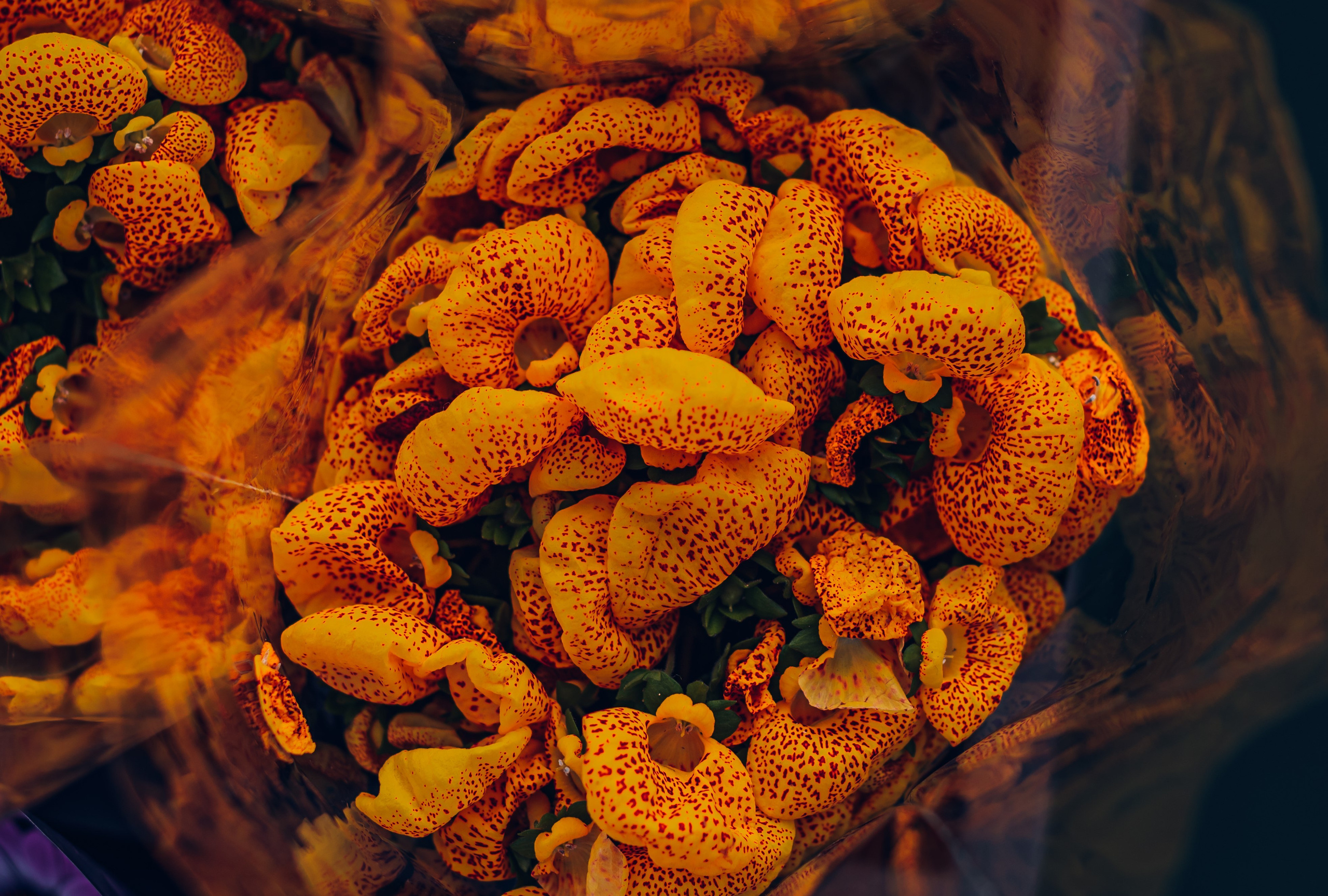 Путешествие рекламного фотографа из Гуанчжоу по Гонконгу 2 | Истории и вдохновение. Коммерческий и предметный фотограф в Гуанчжоу Коваленко Александр