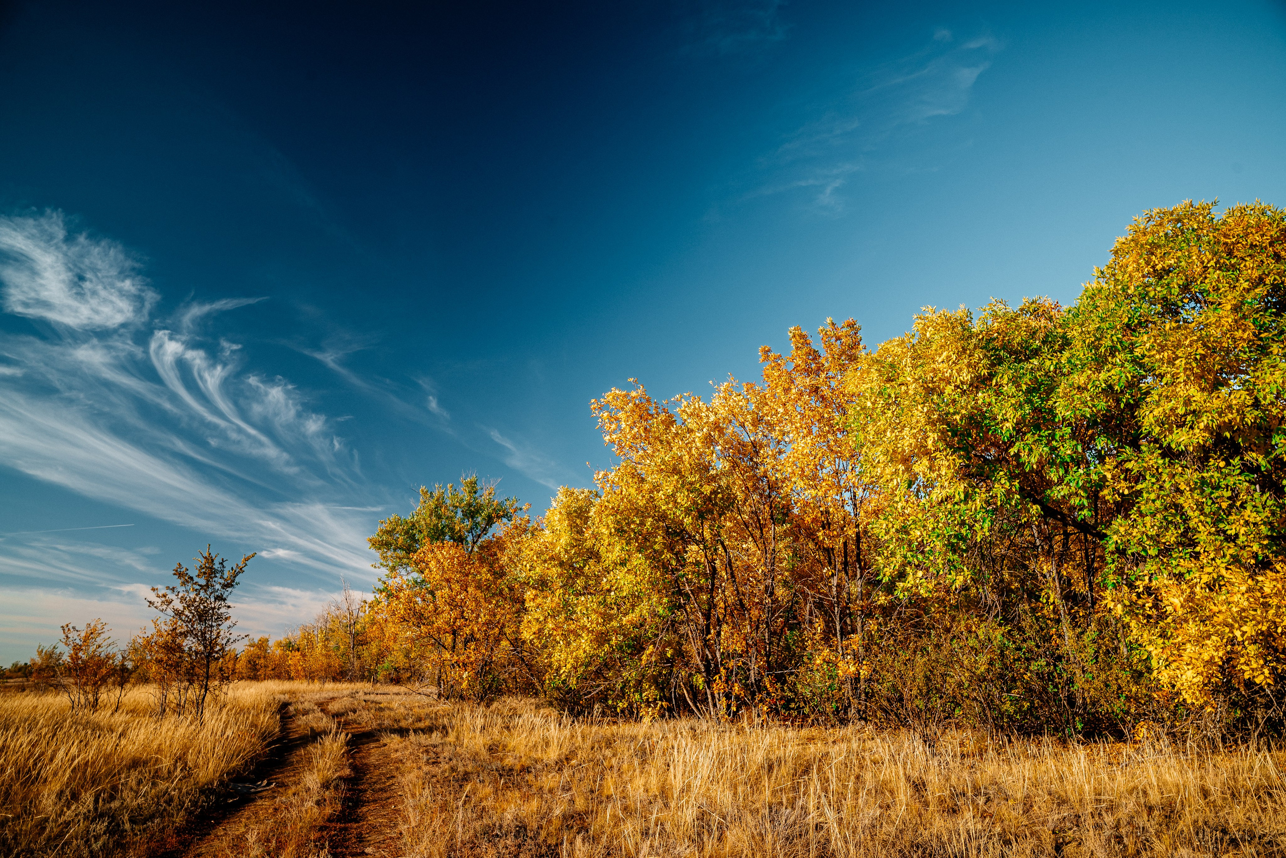 Пейзажи. Фотограф в Уральске | Трищенков Гордей