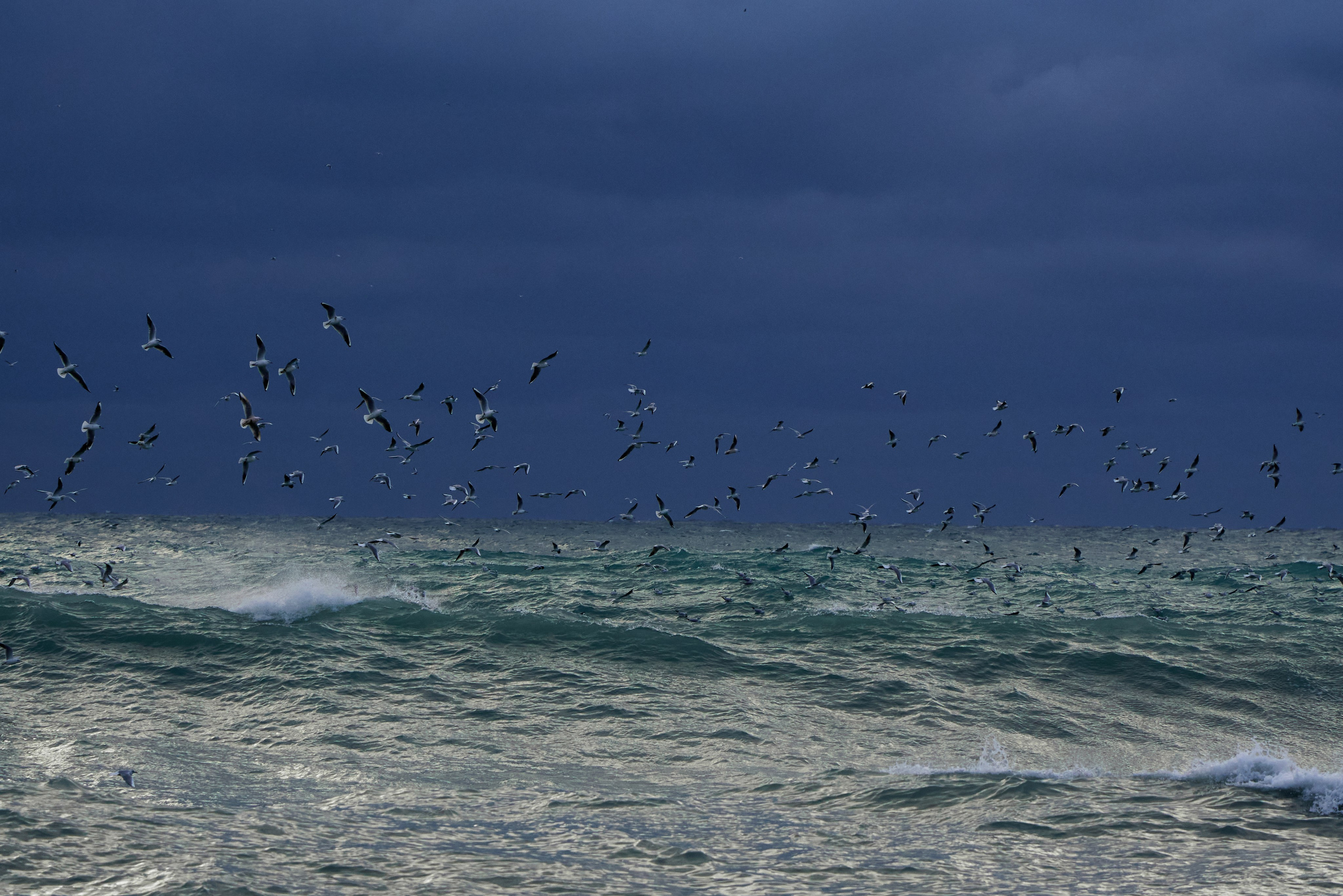 Пейзажные фотографии Анапы. Профессиональный фотограф в Анапе Артем Ковальский