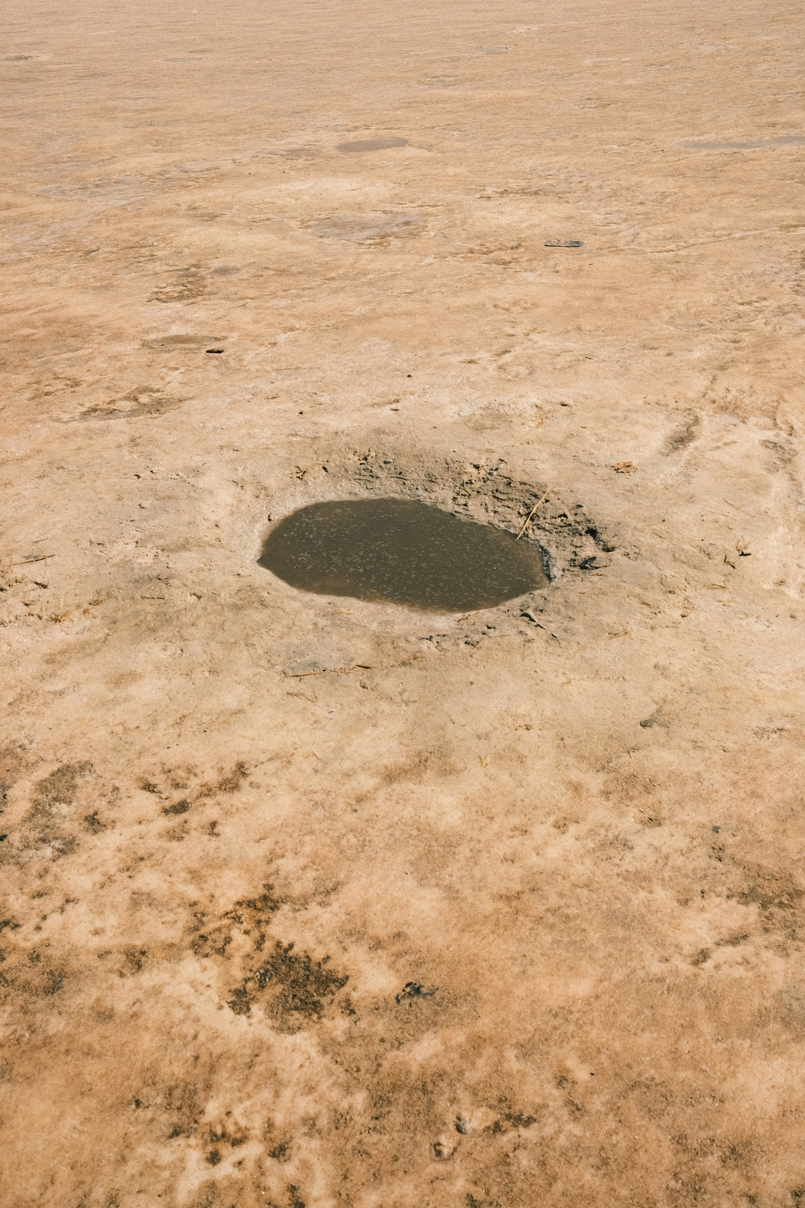 Молчание. Портретный фотограф
