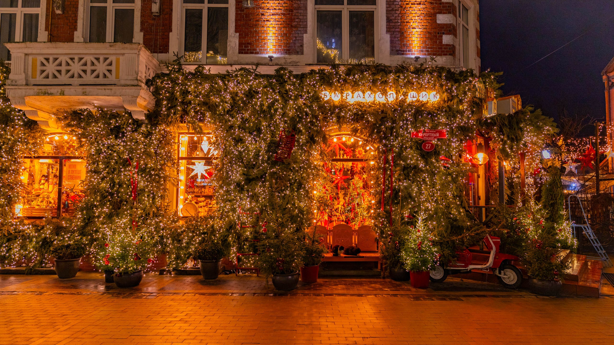 2024 01 Калининград (Светлогорск, Зеленоградск). Фотографии